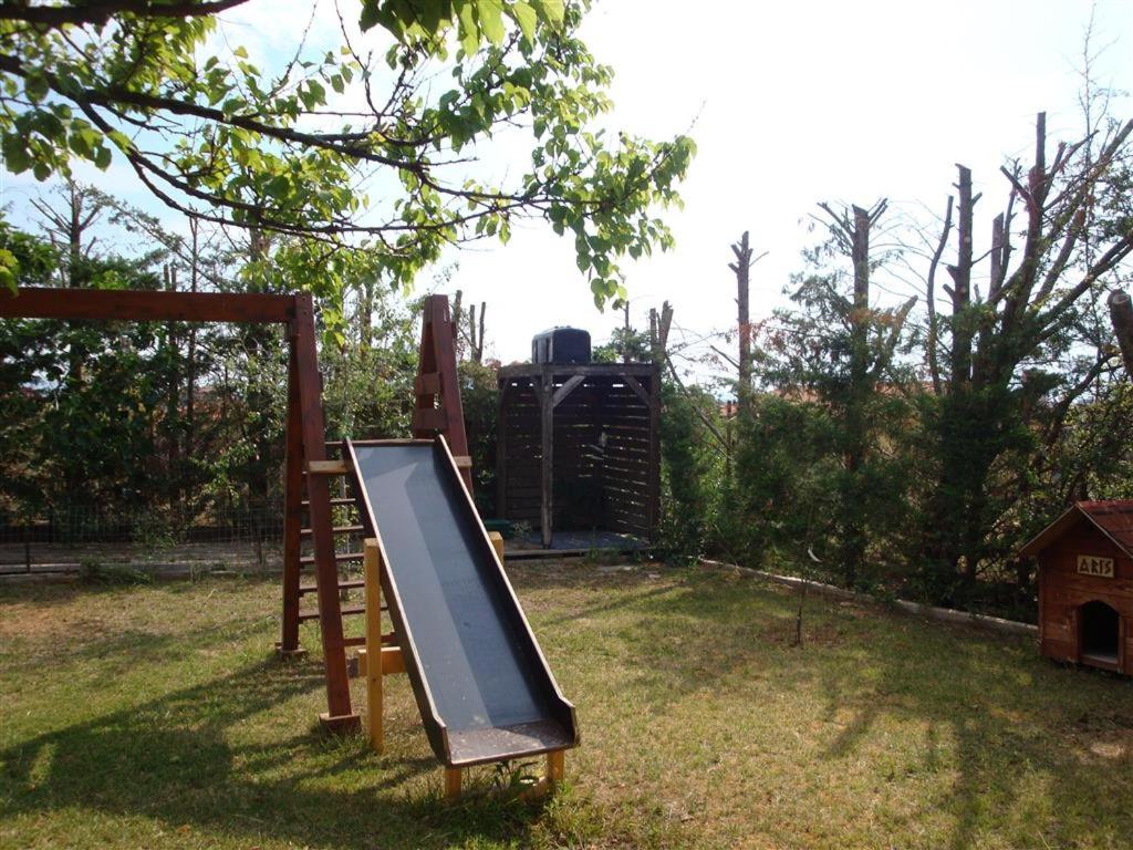 Photo 50