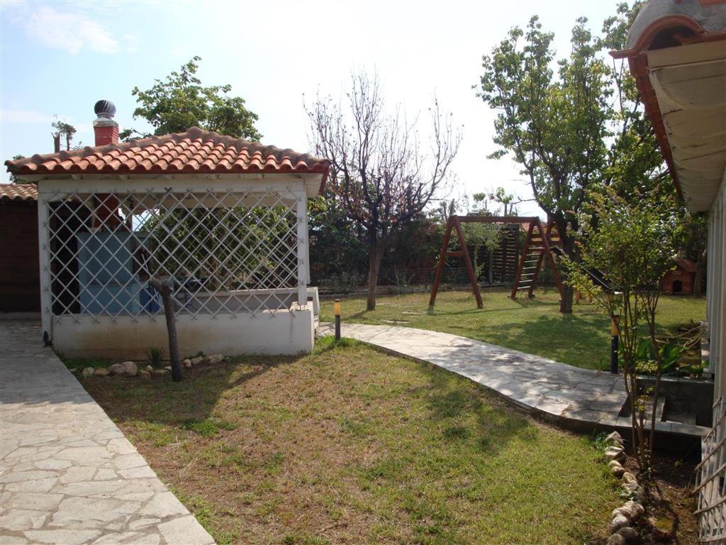Photo 51