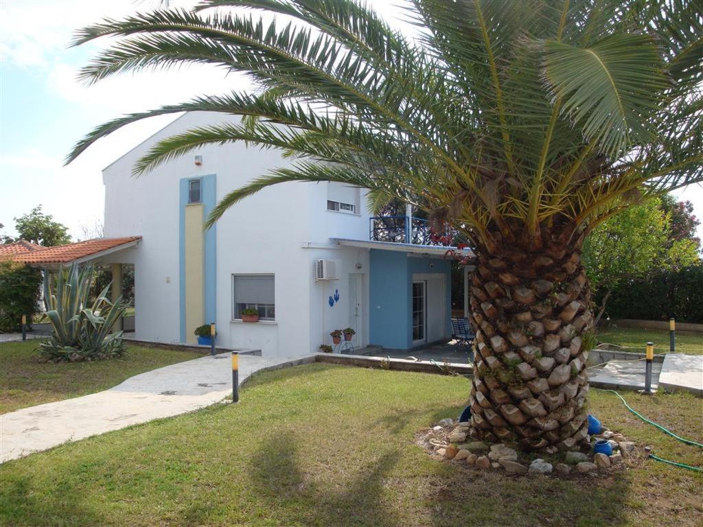 Photo 52