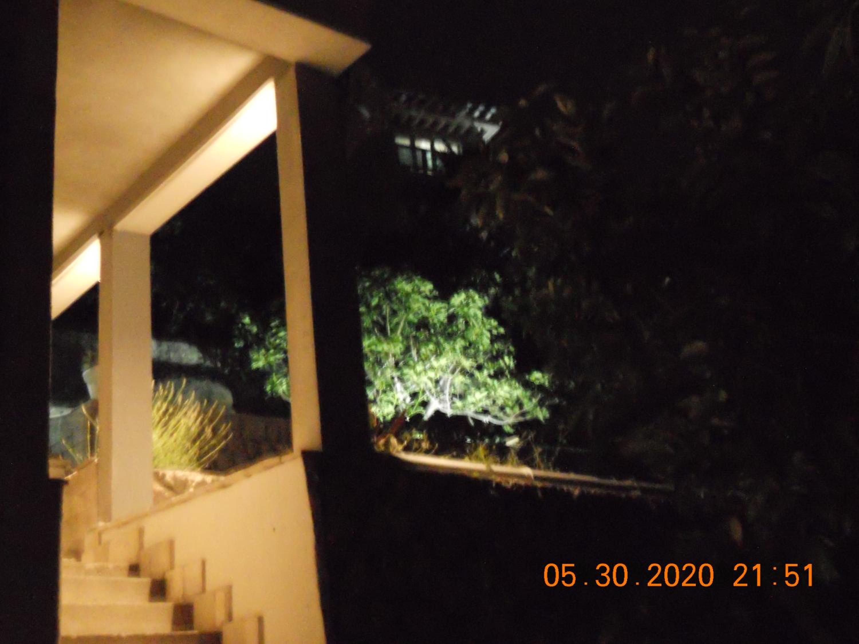 Photo 45