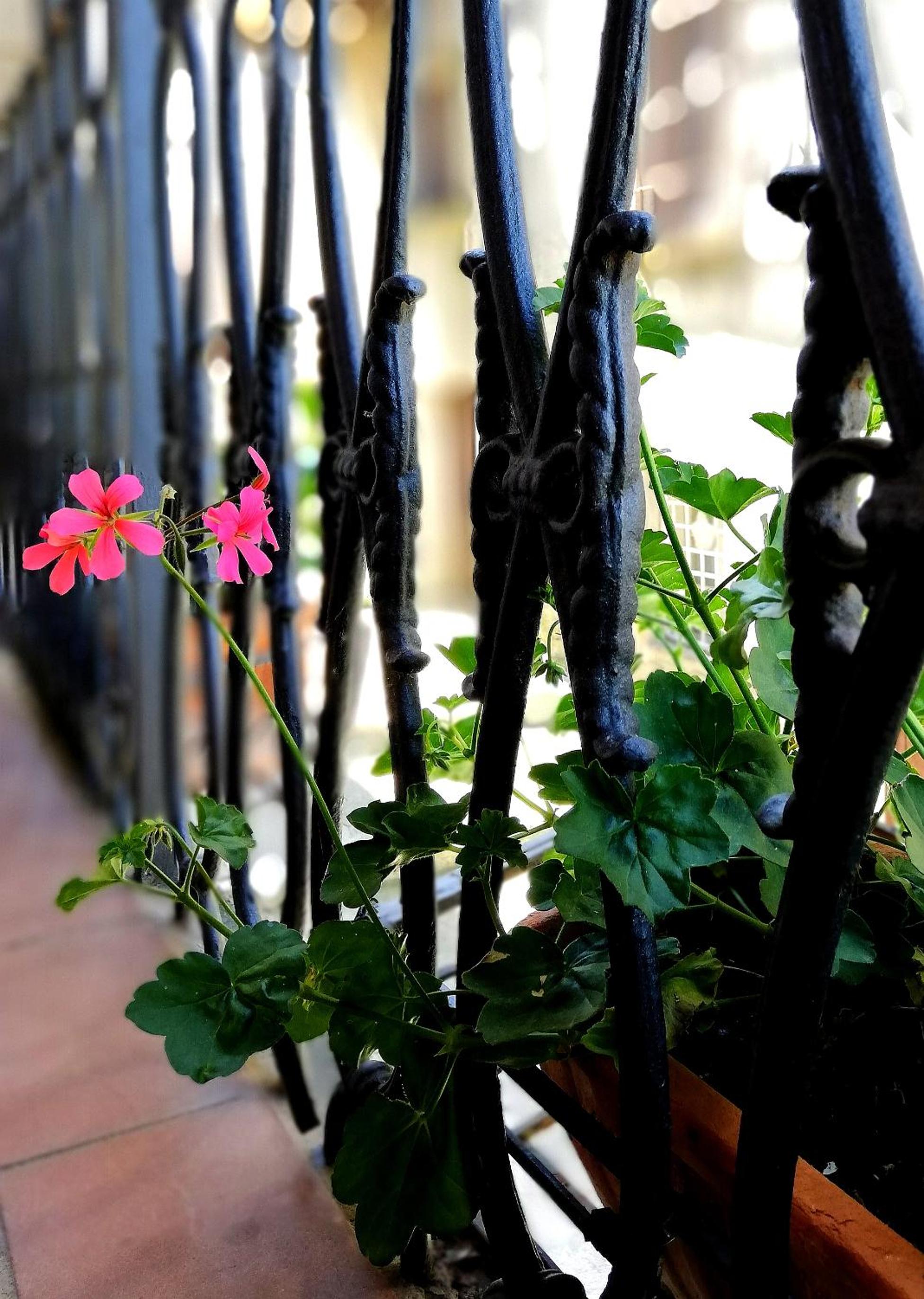 La Spelonca degli Asini en Prata — balance & terrace