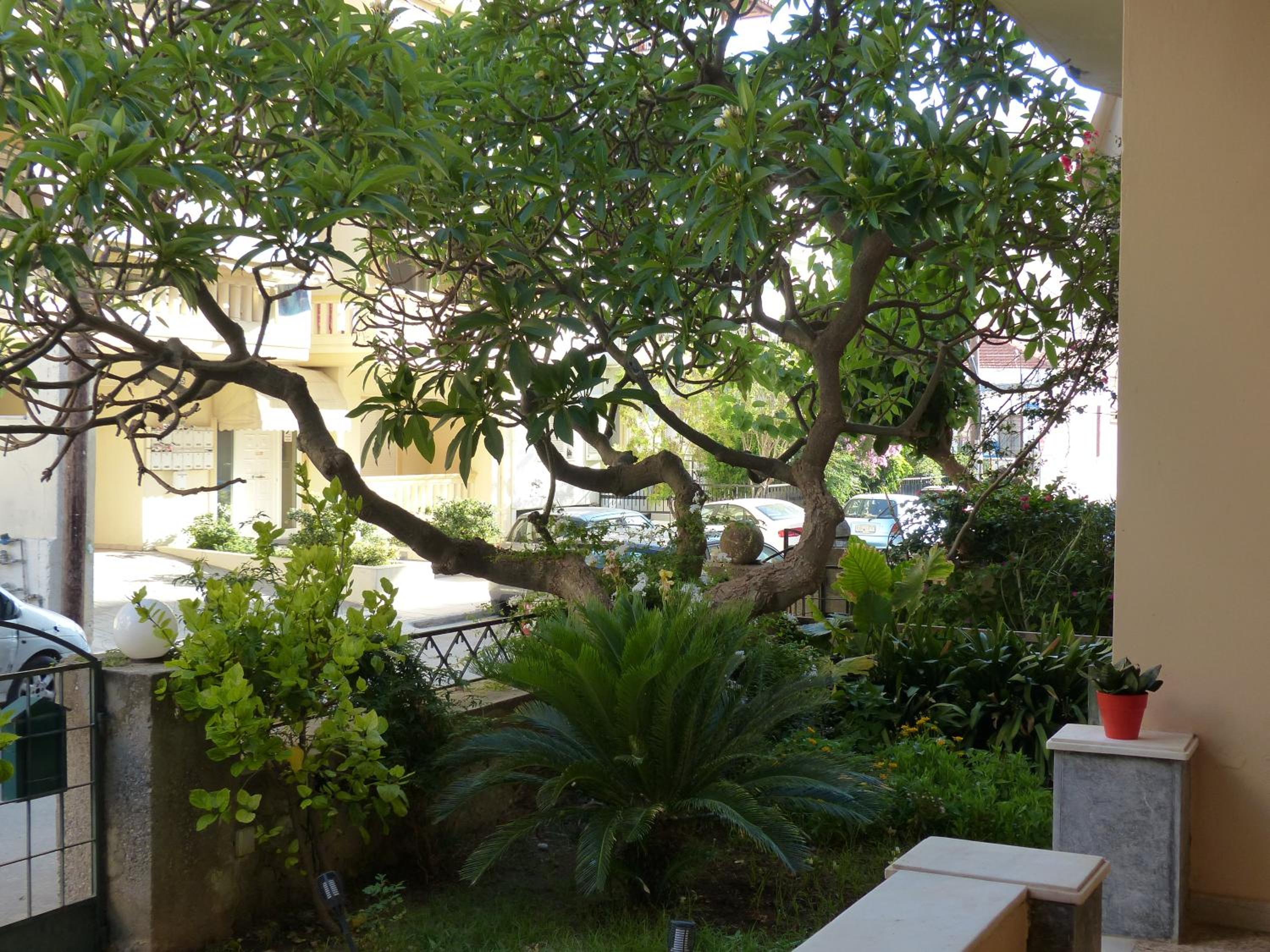 Avgi Garden House Chania with private entrance view 2