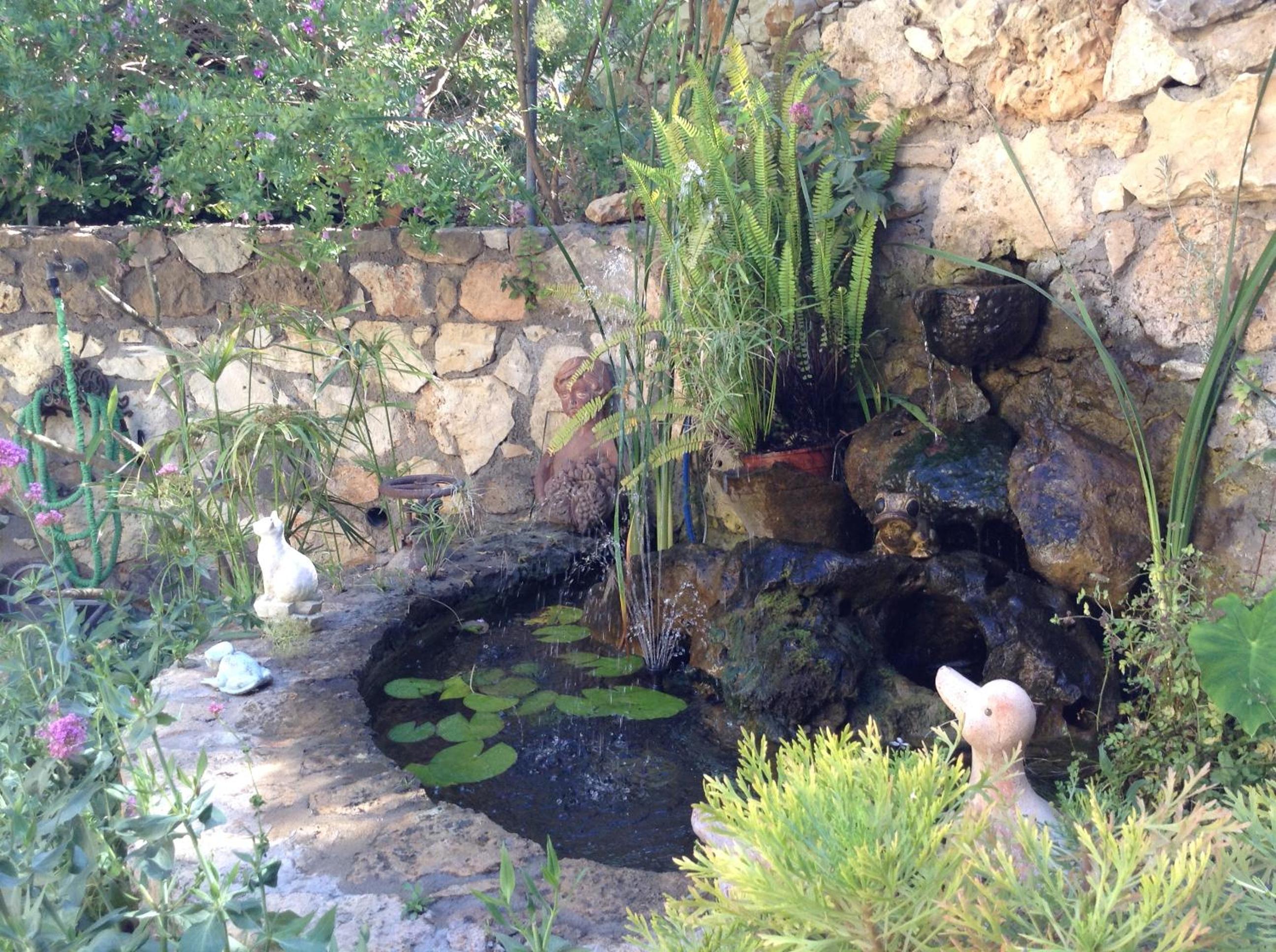 Olive House Traditional Villa with Pool photo 4