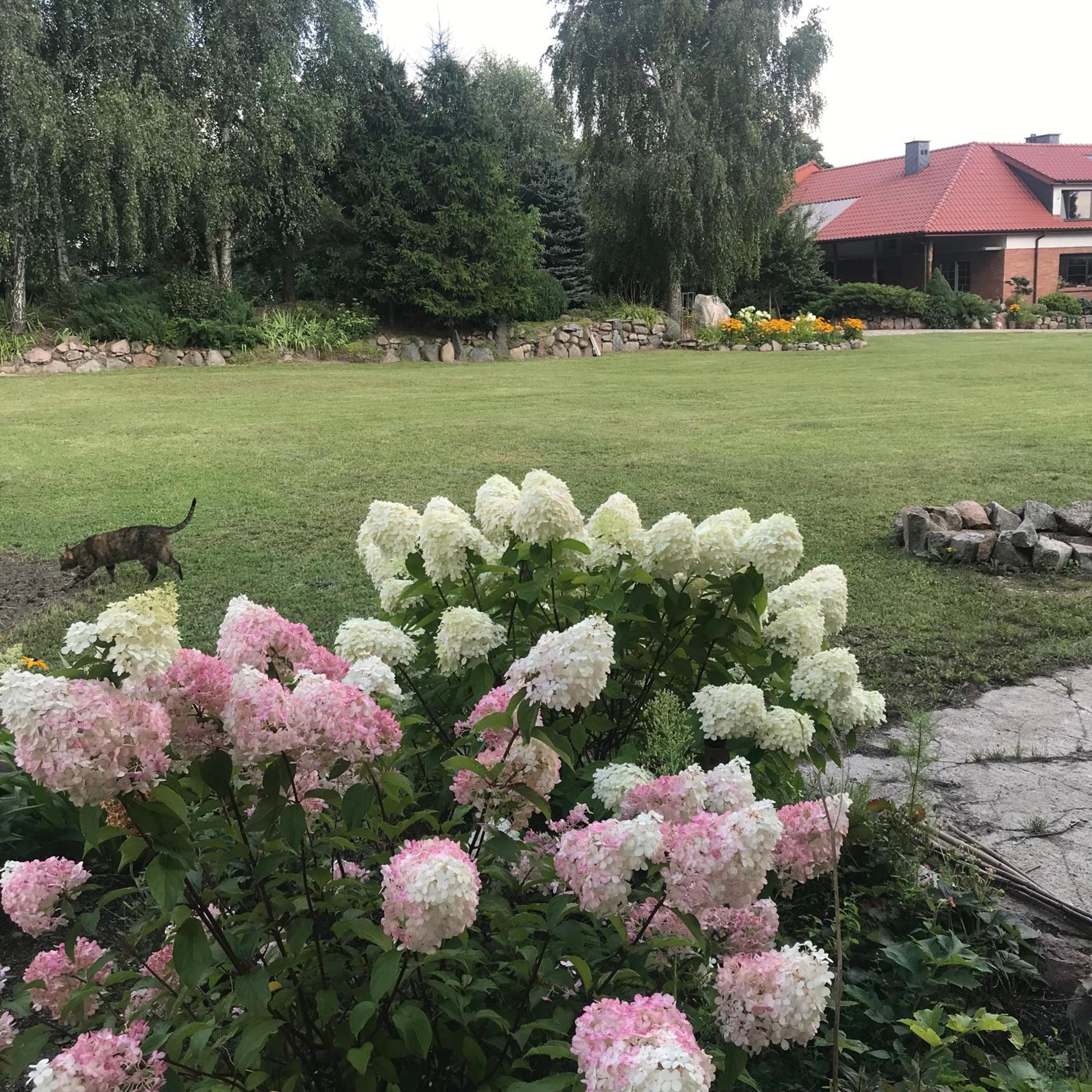 Photo 34
