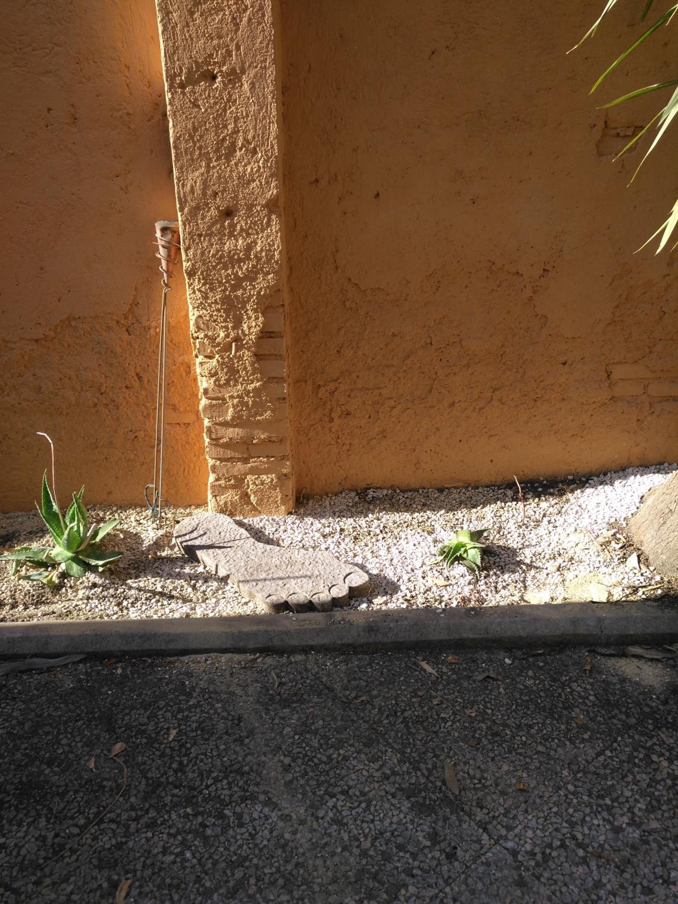 Tucci's Roma Guest House