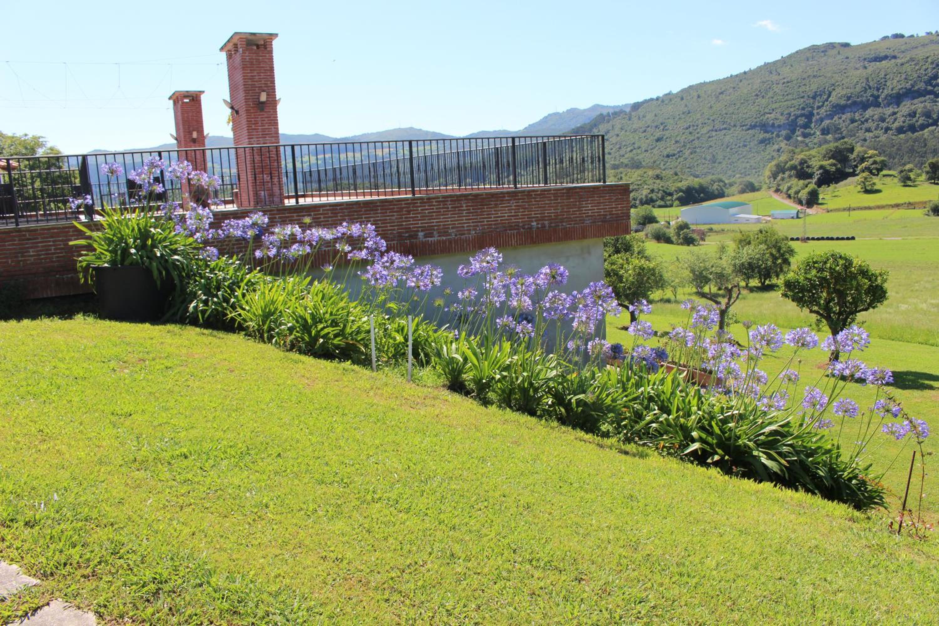 Posada el Campo view 4