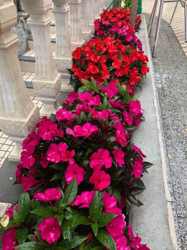 Photo 32