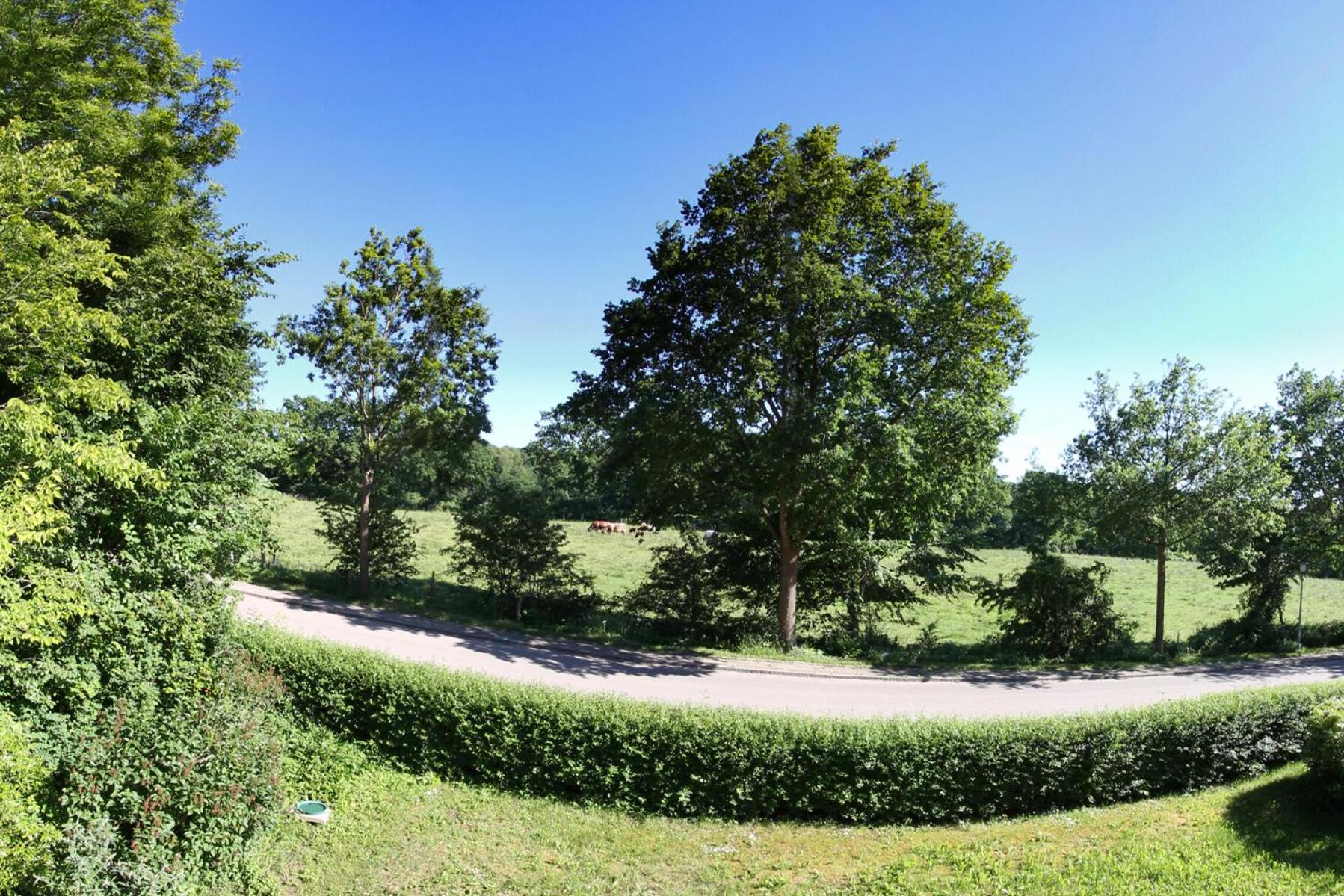 Pension zur Post view 5