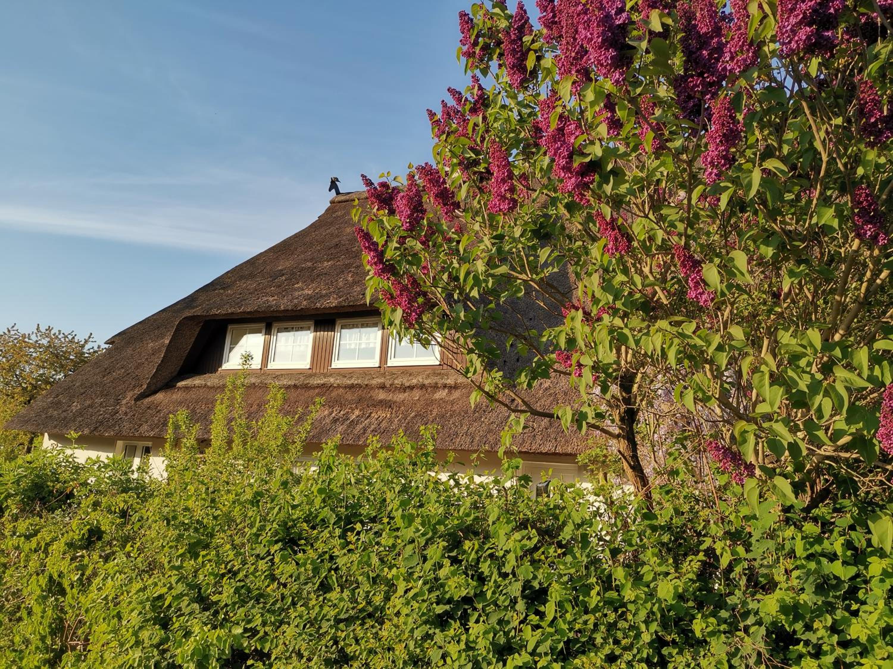 Gemütliche Ferienwohnung unterm Reetdach
