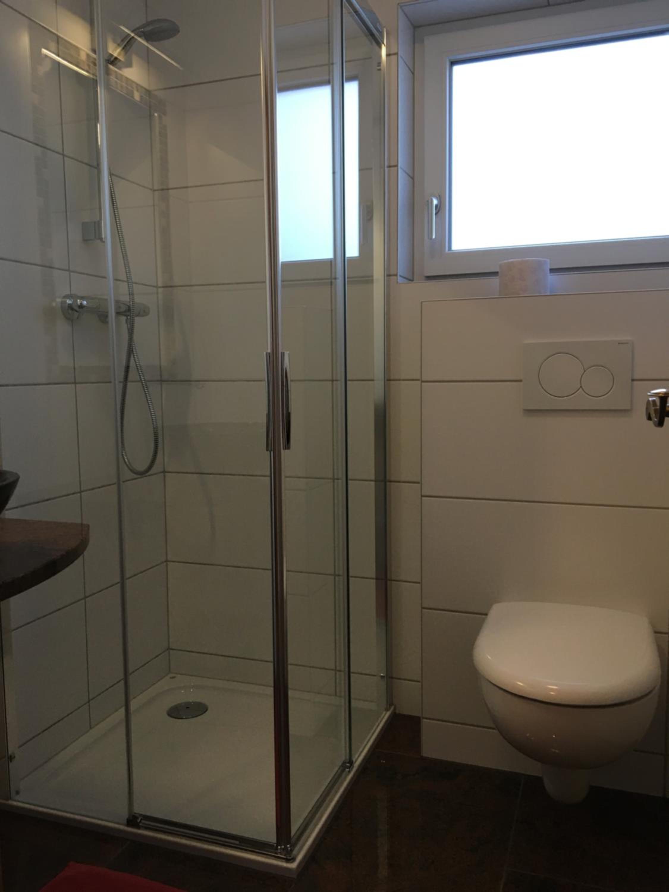 Alm-Apartments view 2