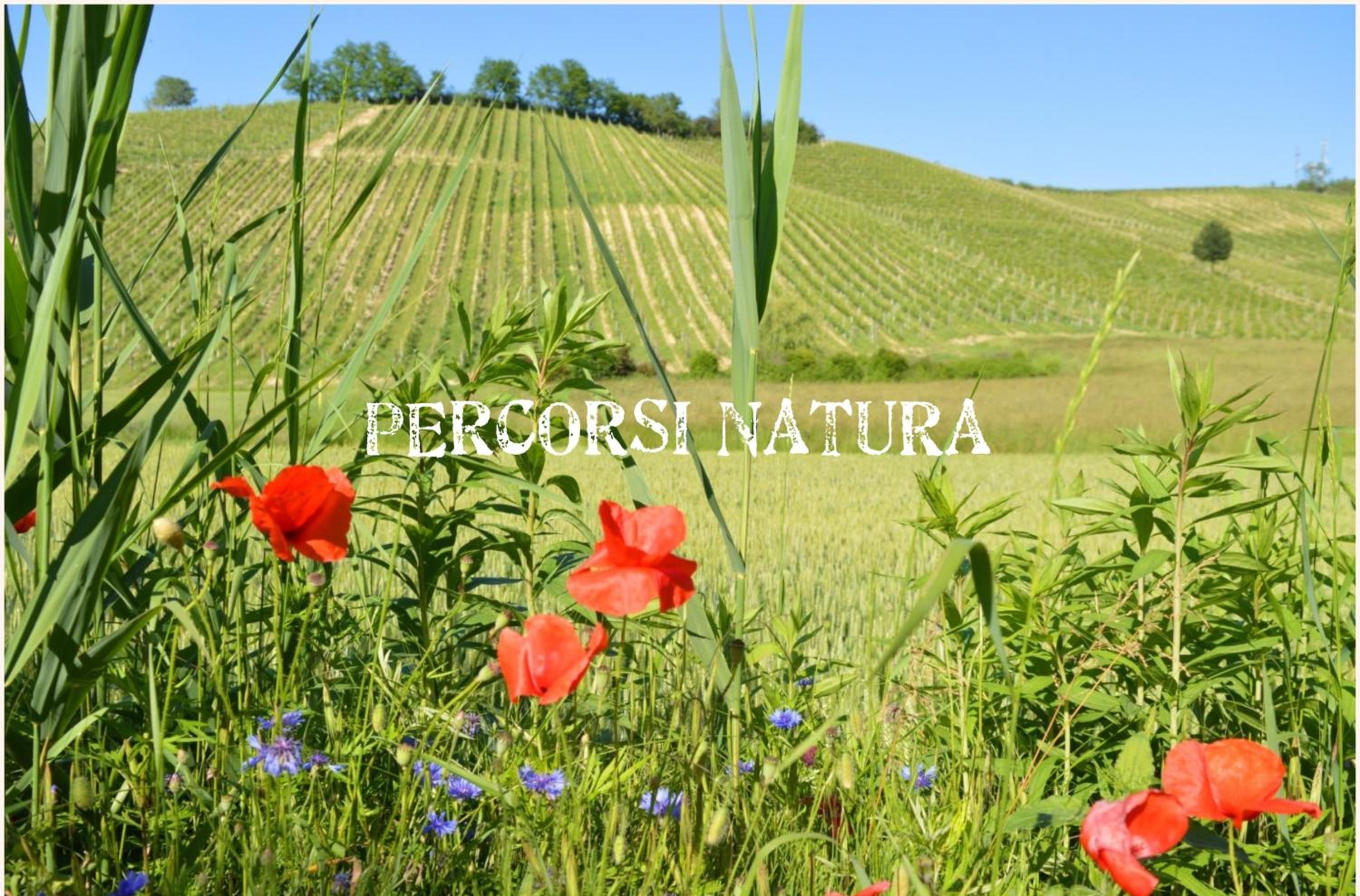 Bed & Tours Dimora di campagna
