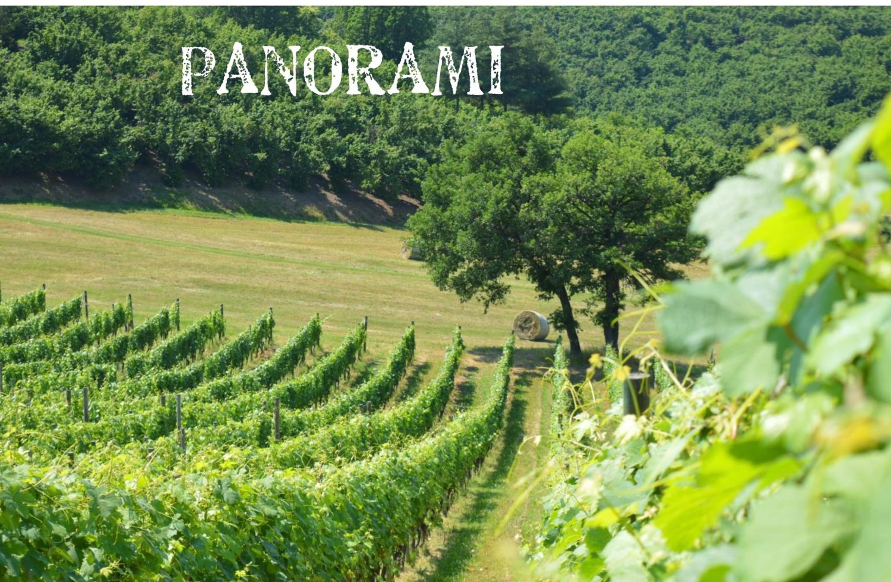 Bed & Tours Dimora di campagna