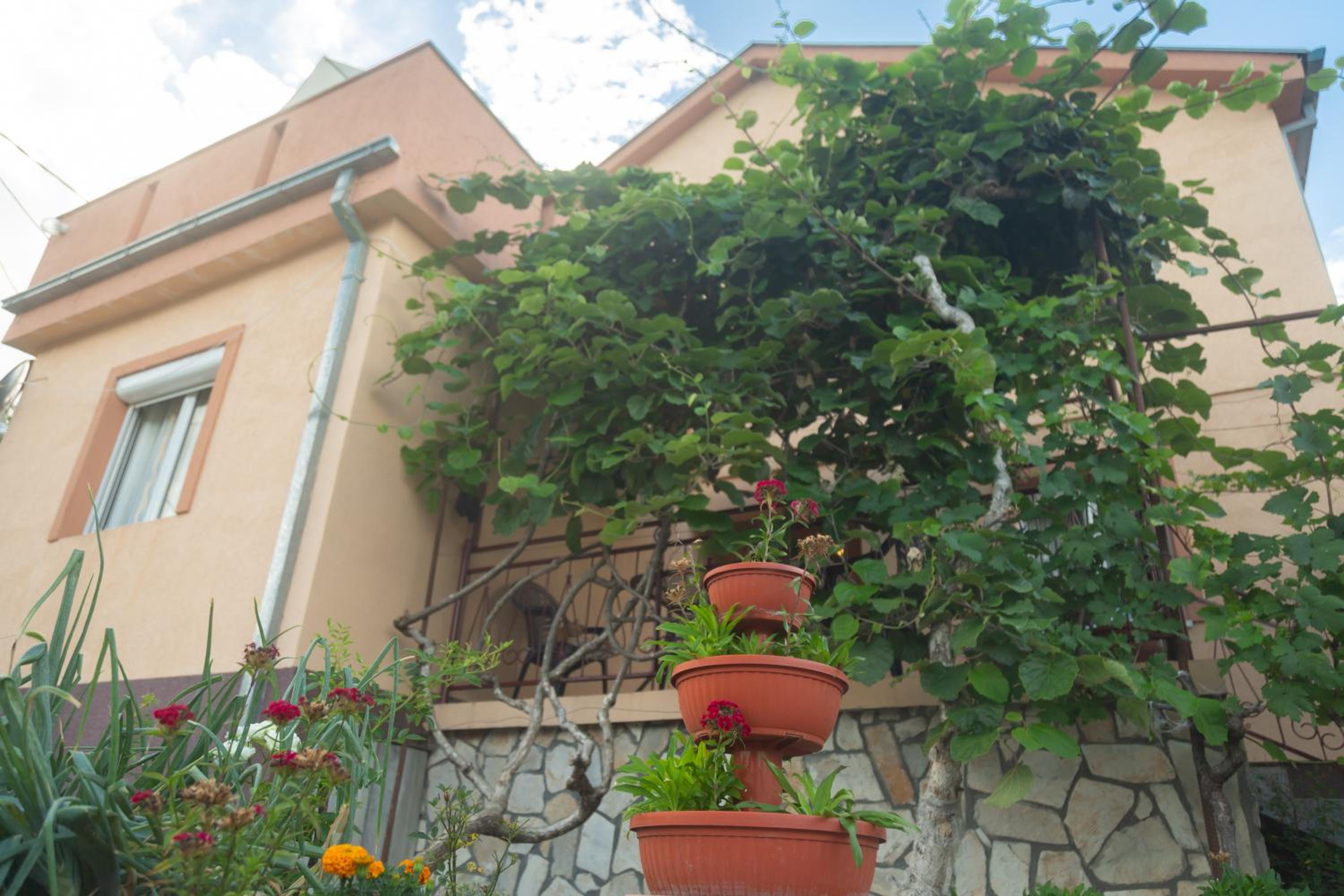Apartment Milena view 5