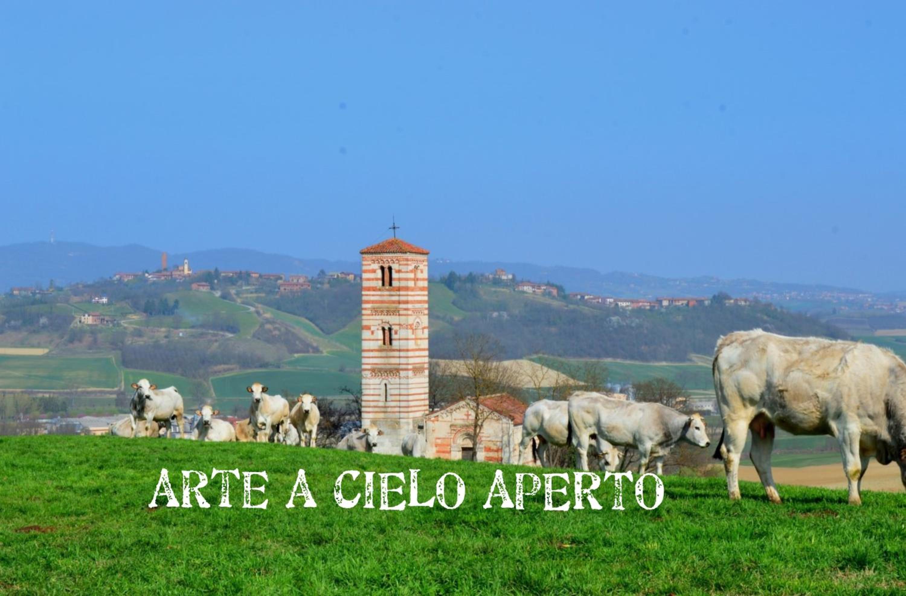 Bed & Tours Dimora di campagna