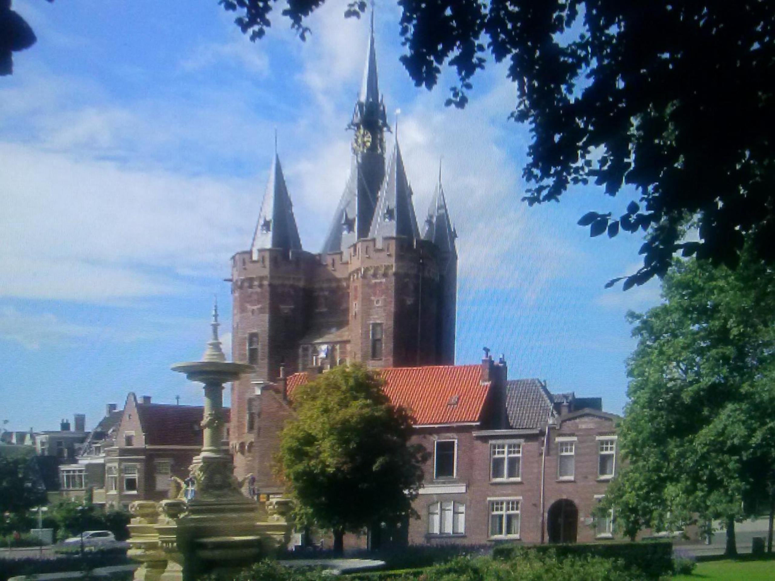 Photo 11