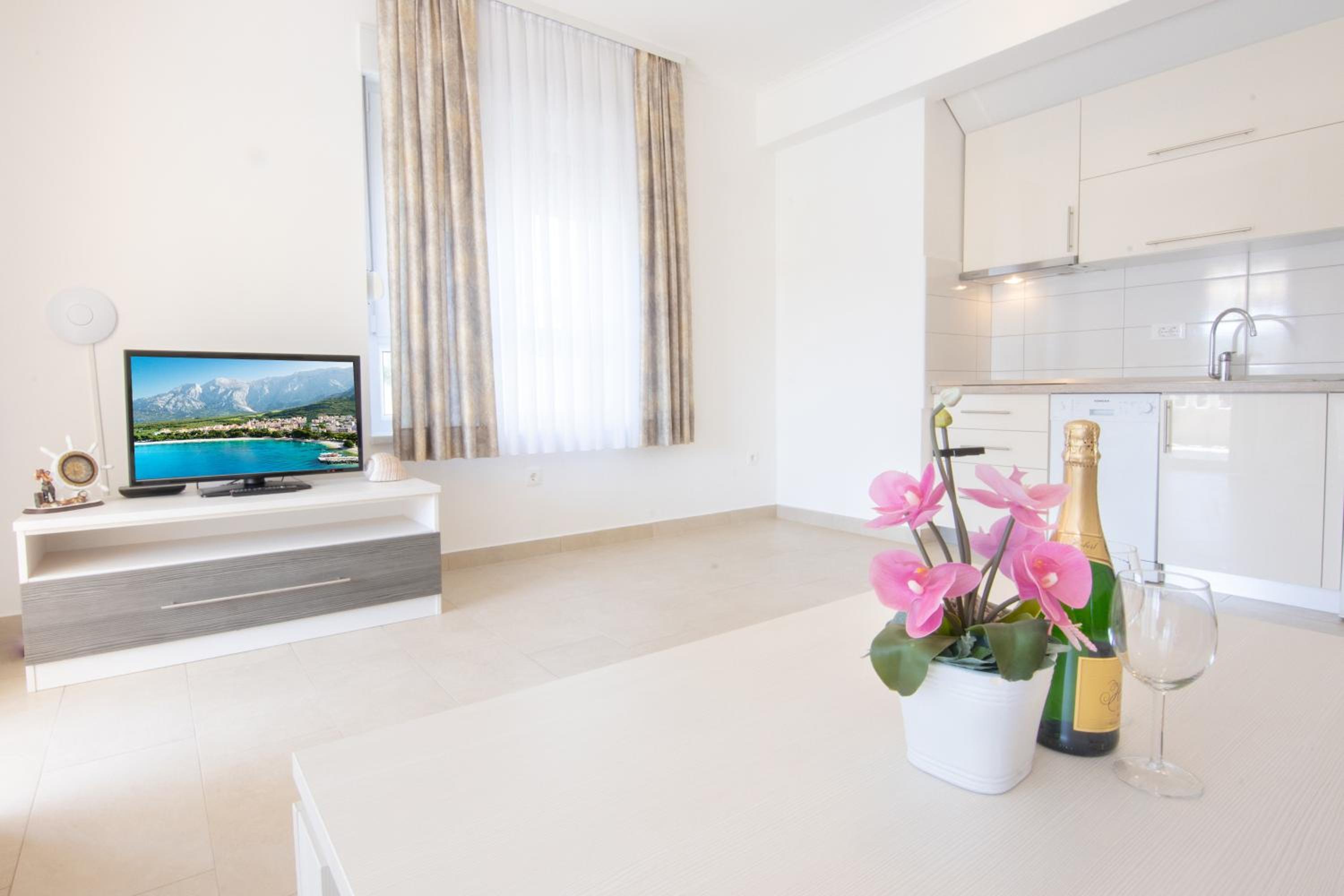 Apartment Palace PROMAJNA view 4