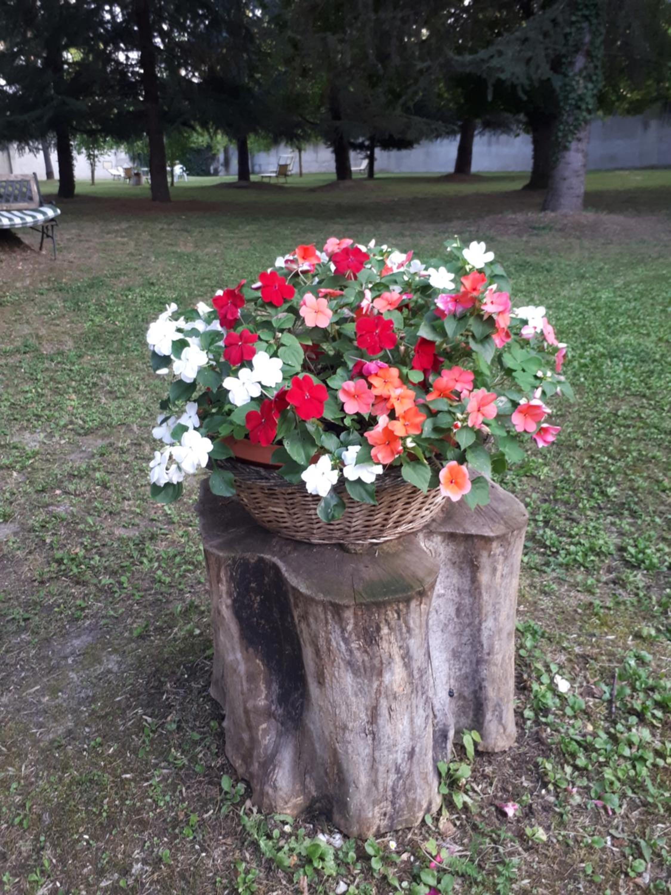 Photo 45