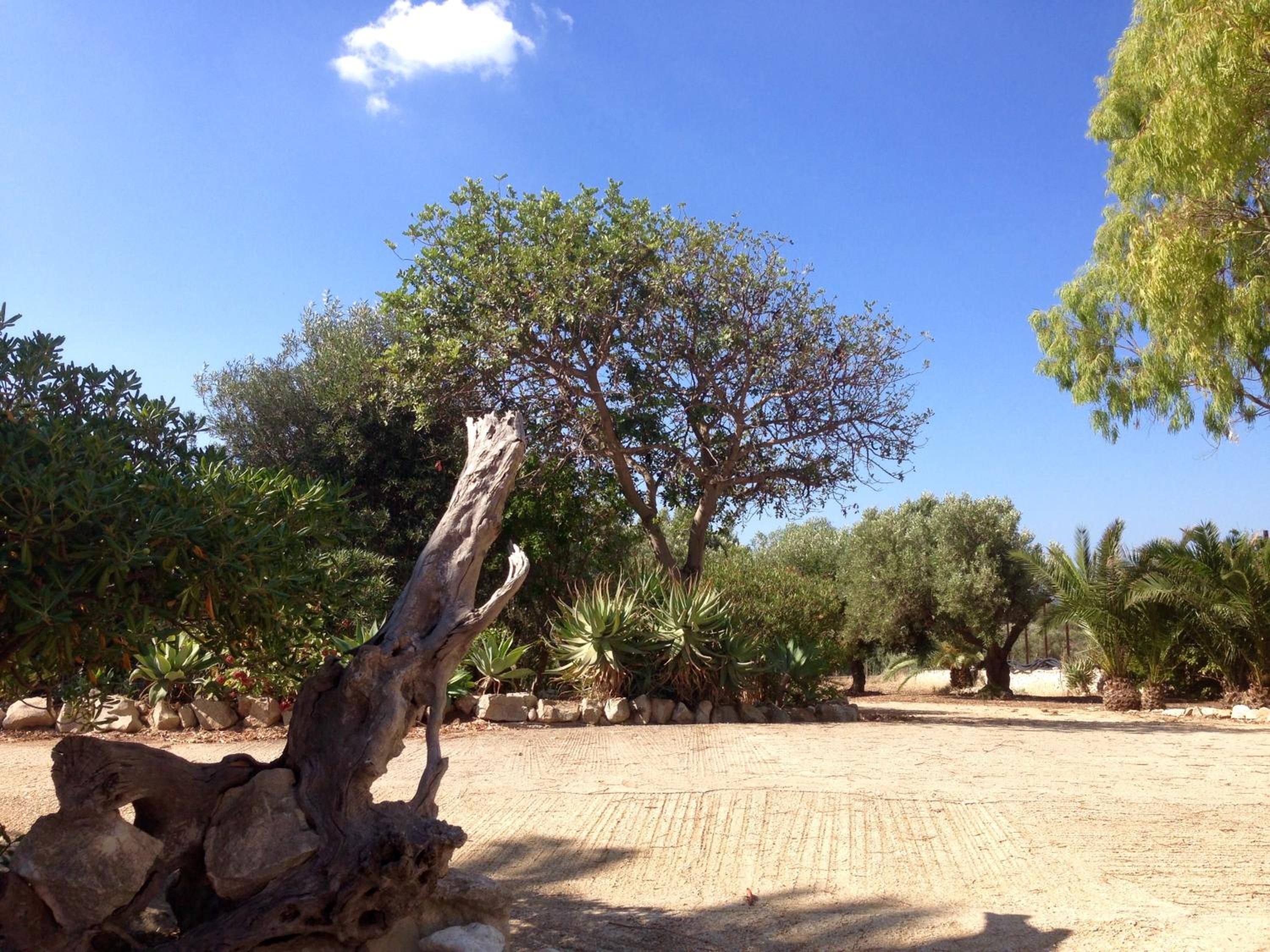 VILLA DEA view 5