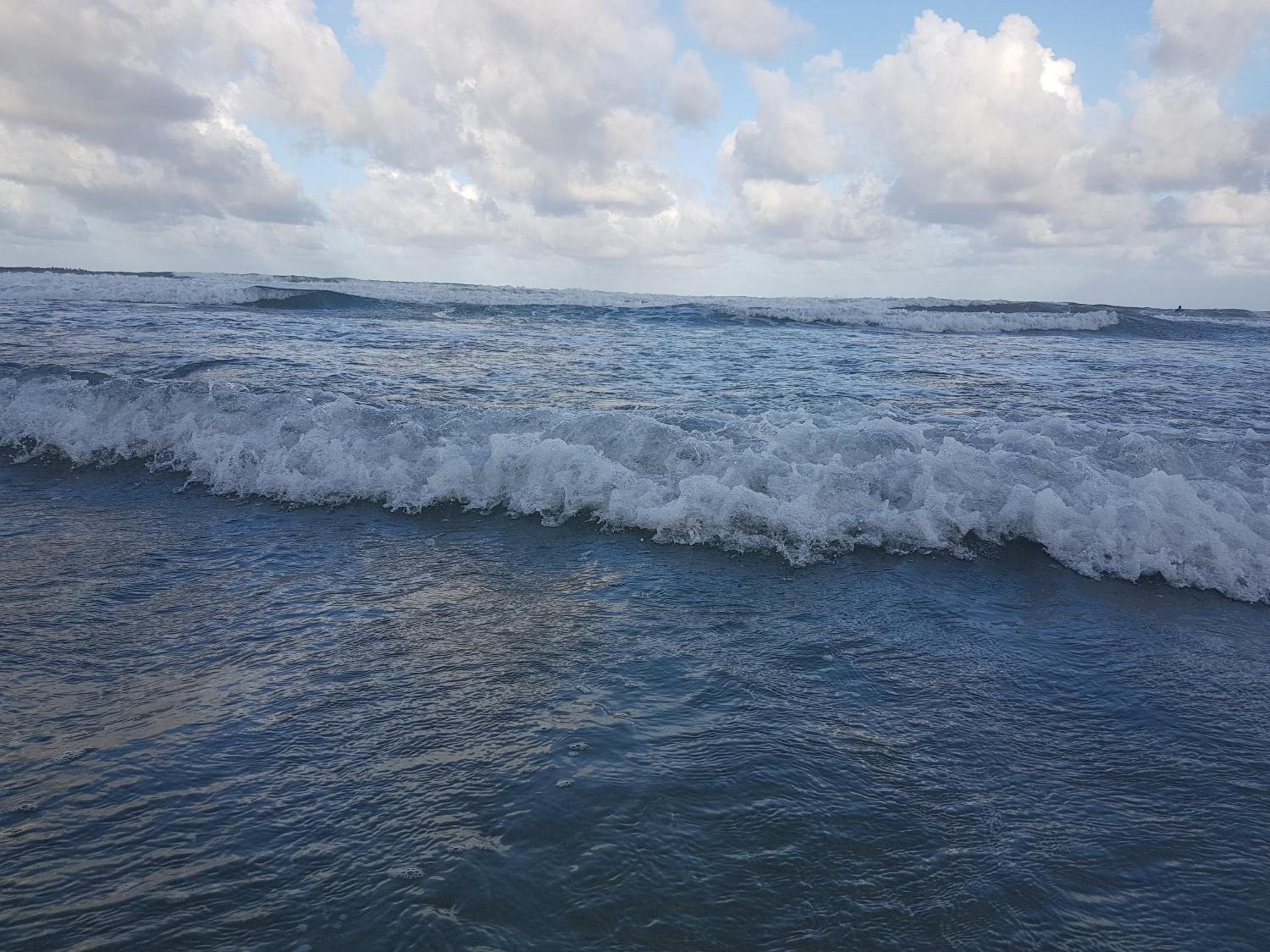 Photo 42