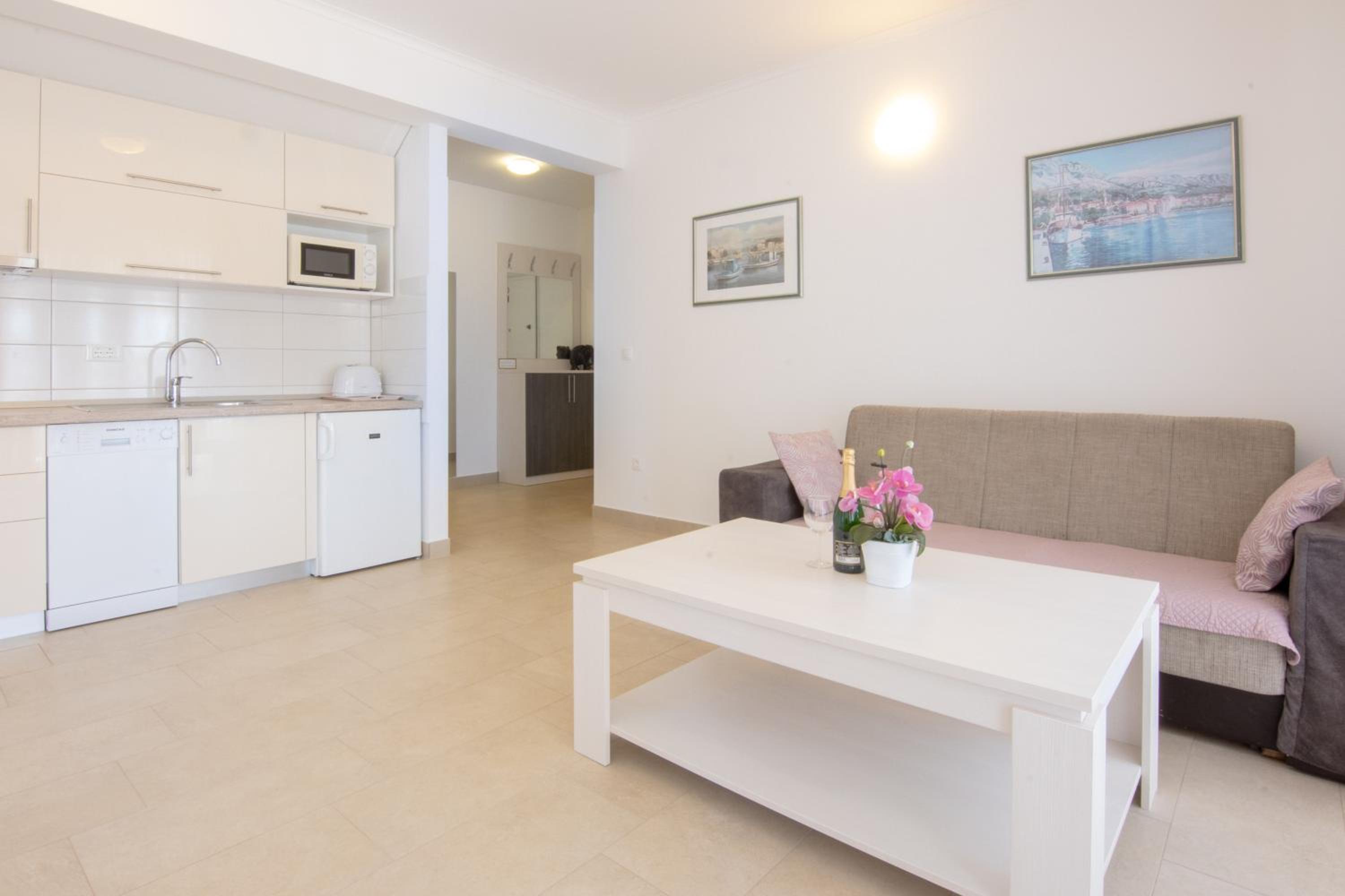 Apartment Palace PROMAJNA view 5