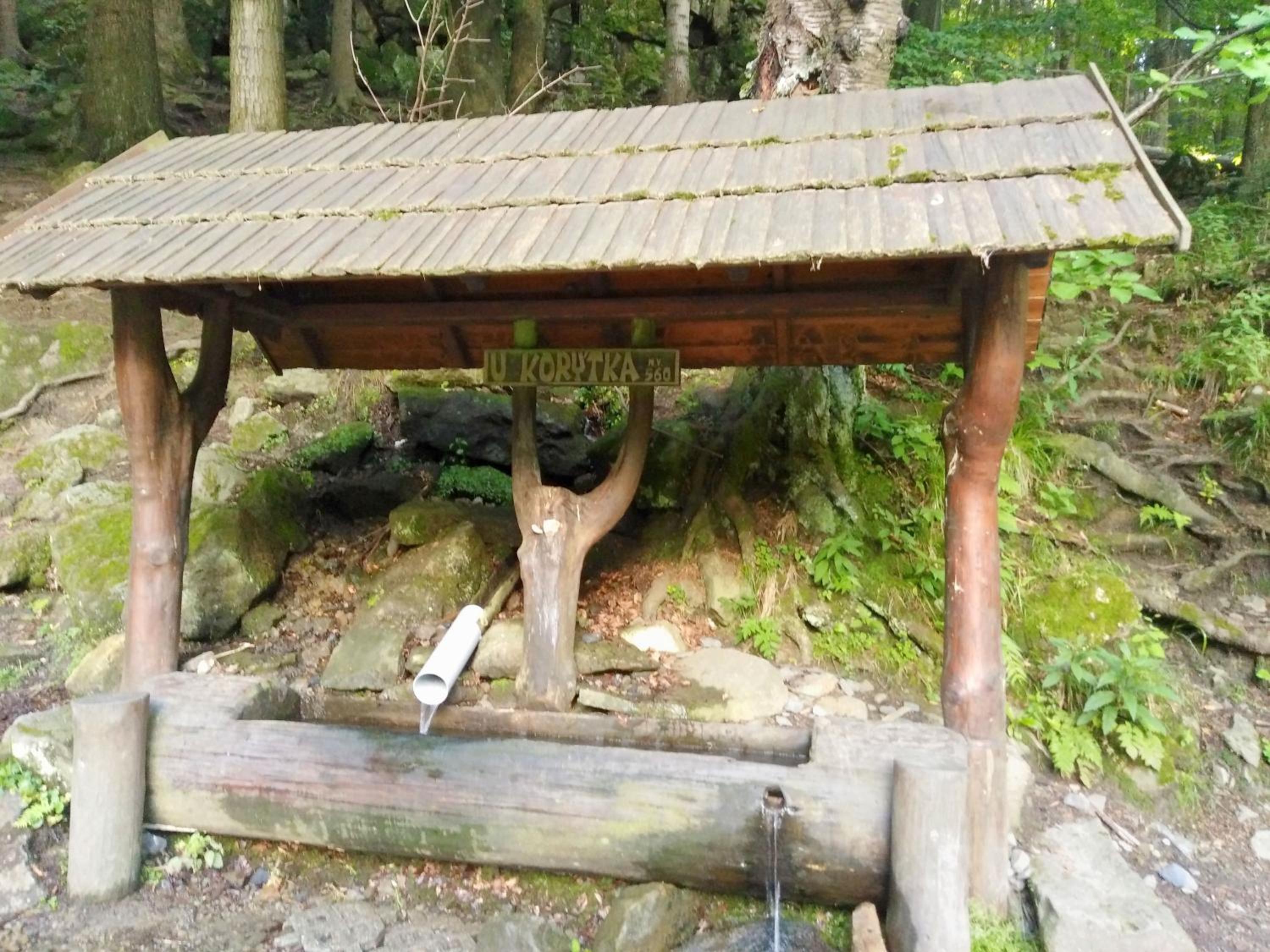 Photo 40