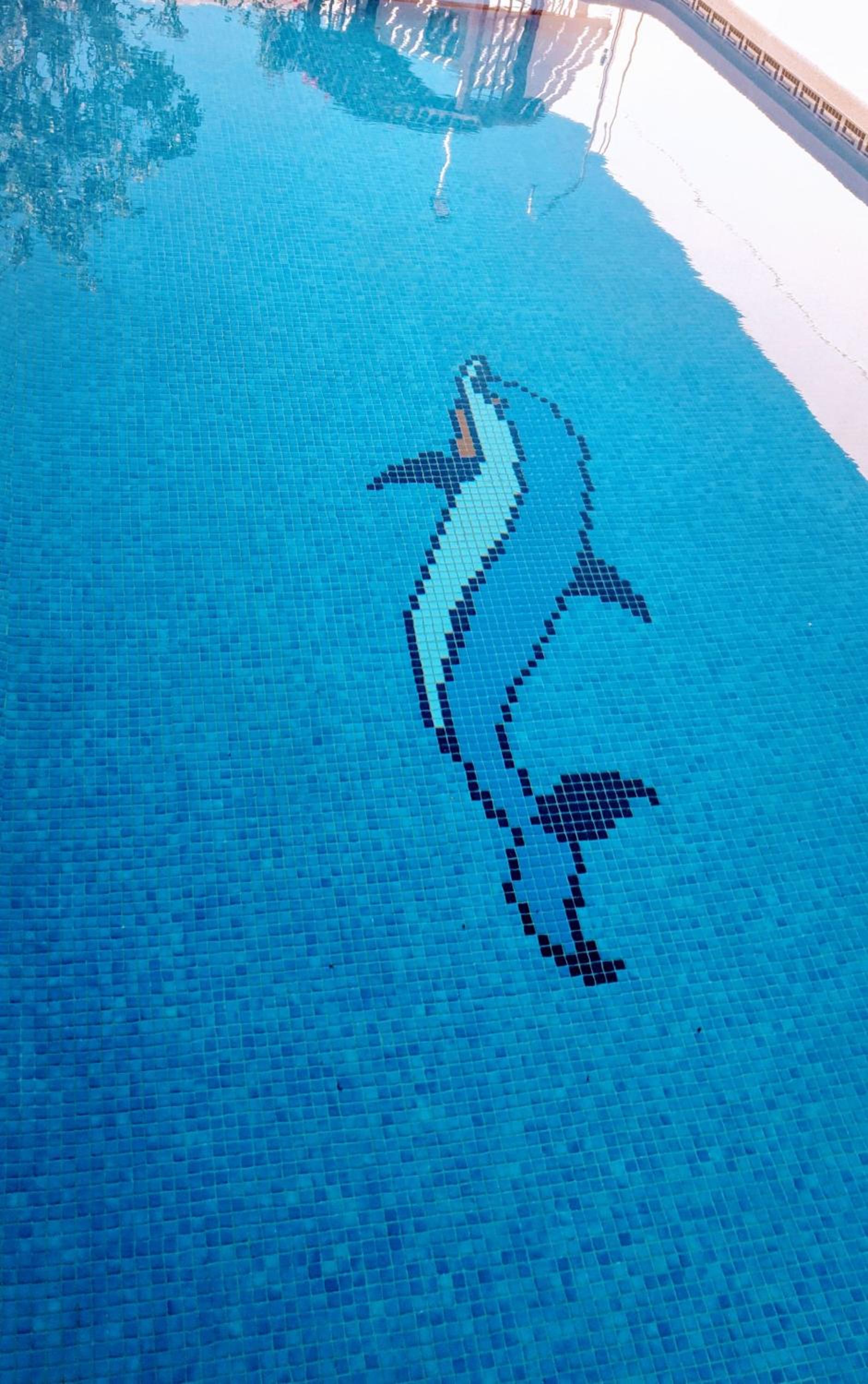 Flamingo Vila Alicante view 3