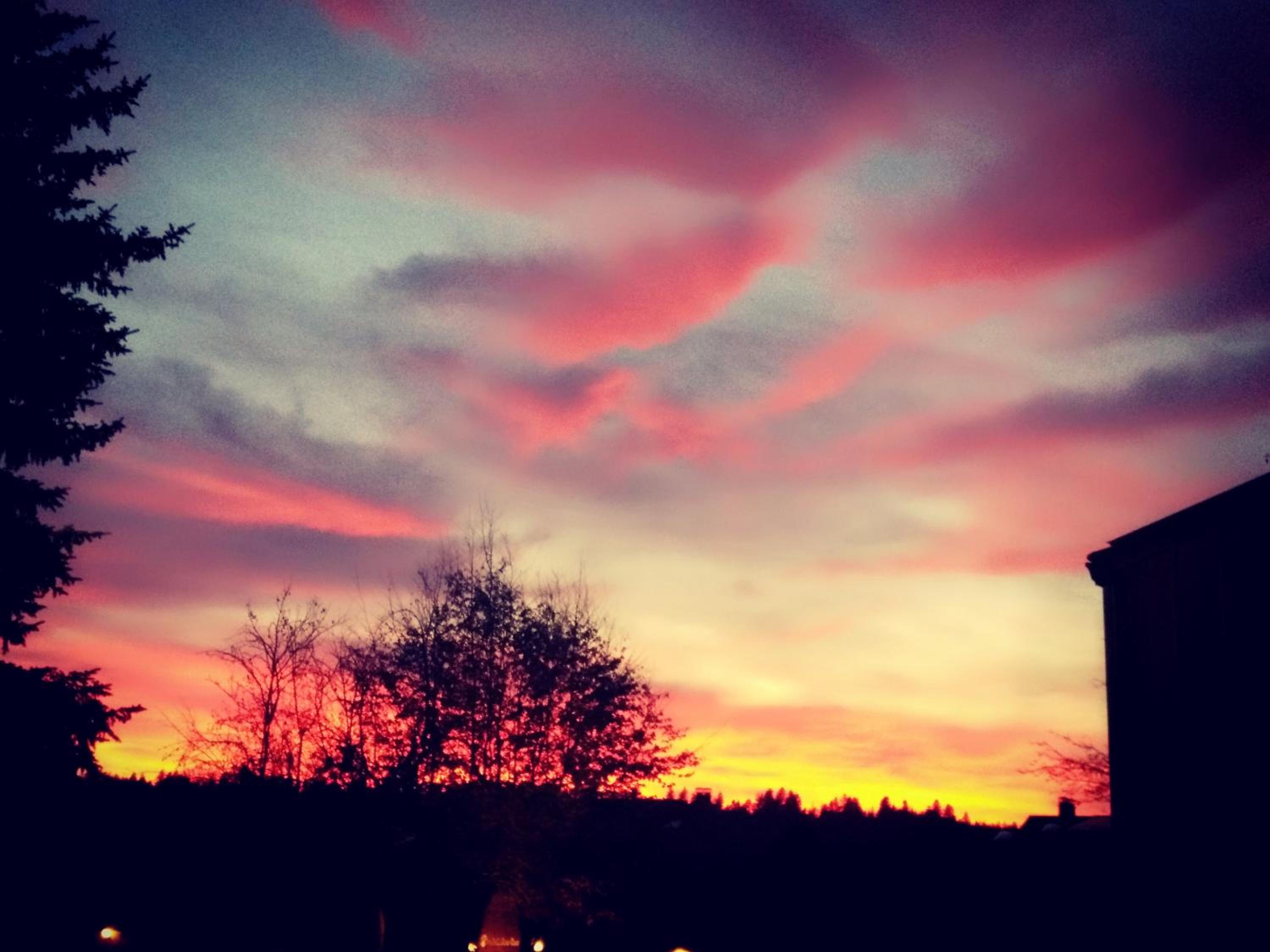 Pend Oreille Shores Resort - Property Image 17