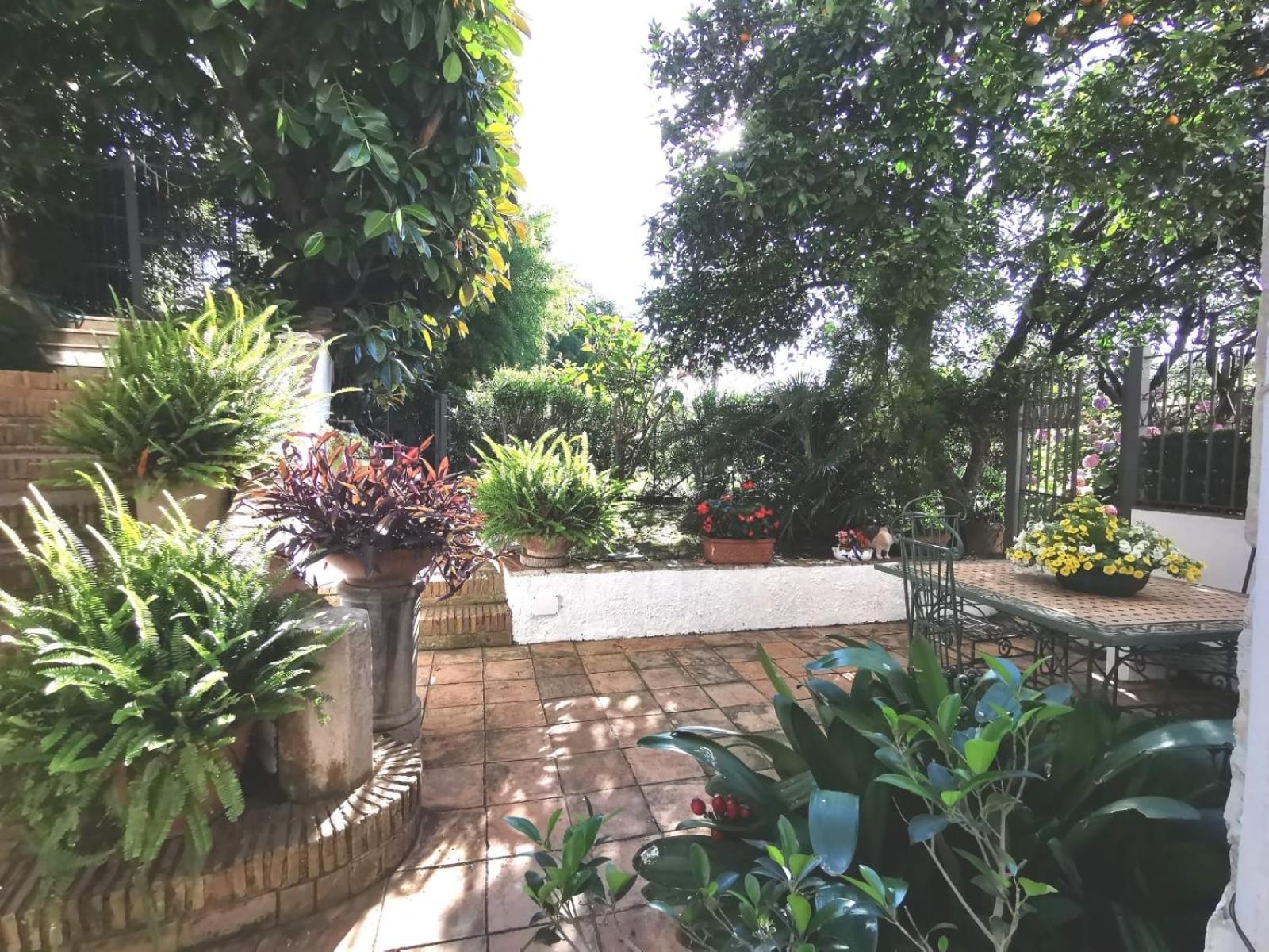 Oasi di Pace photo 2