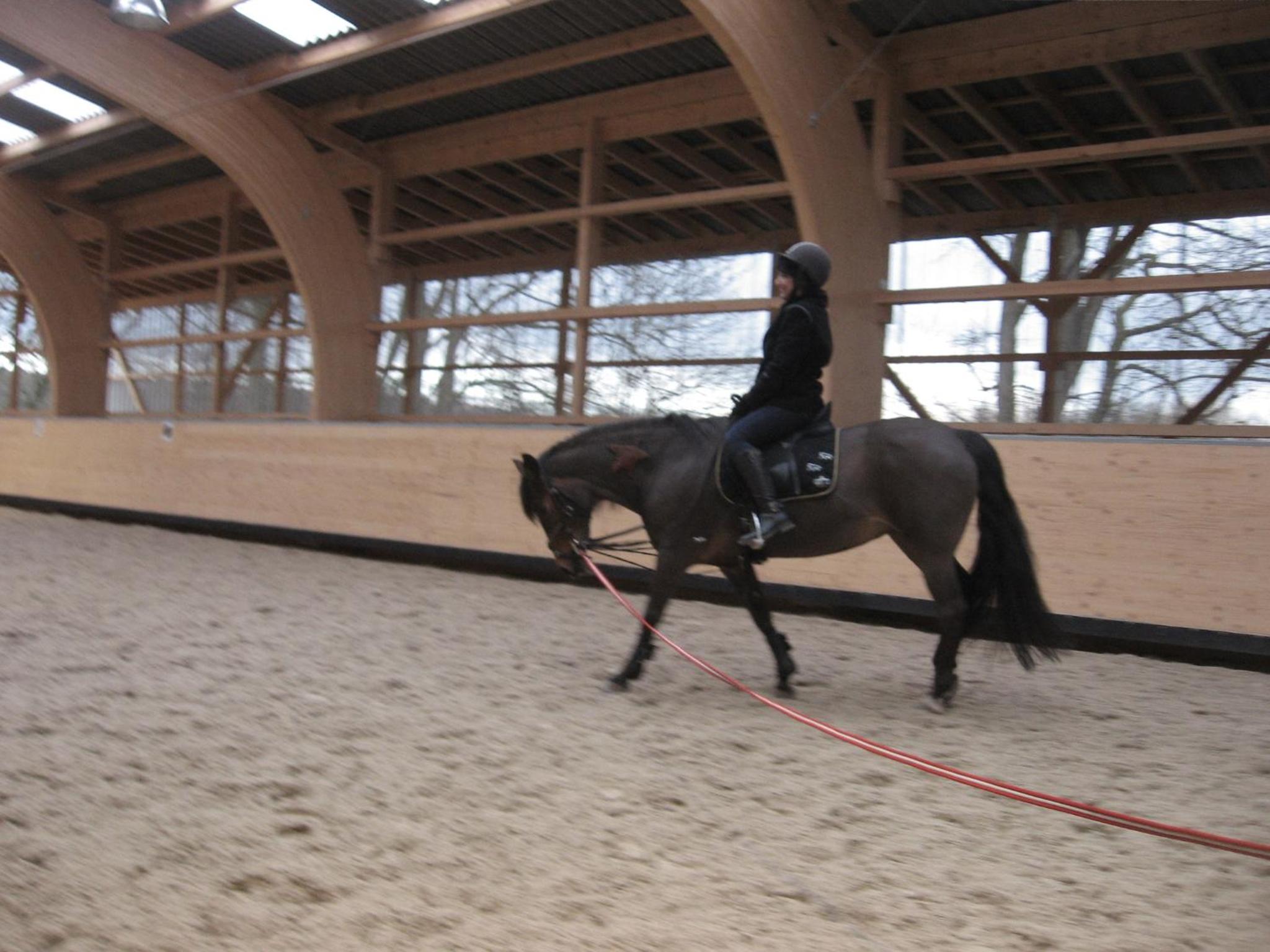 Photo 21