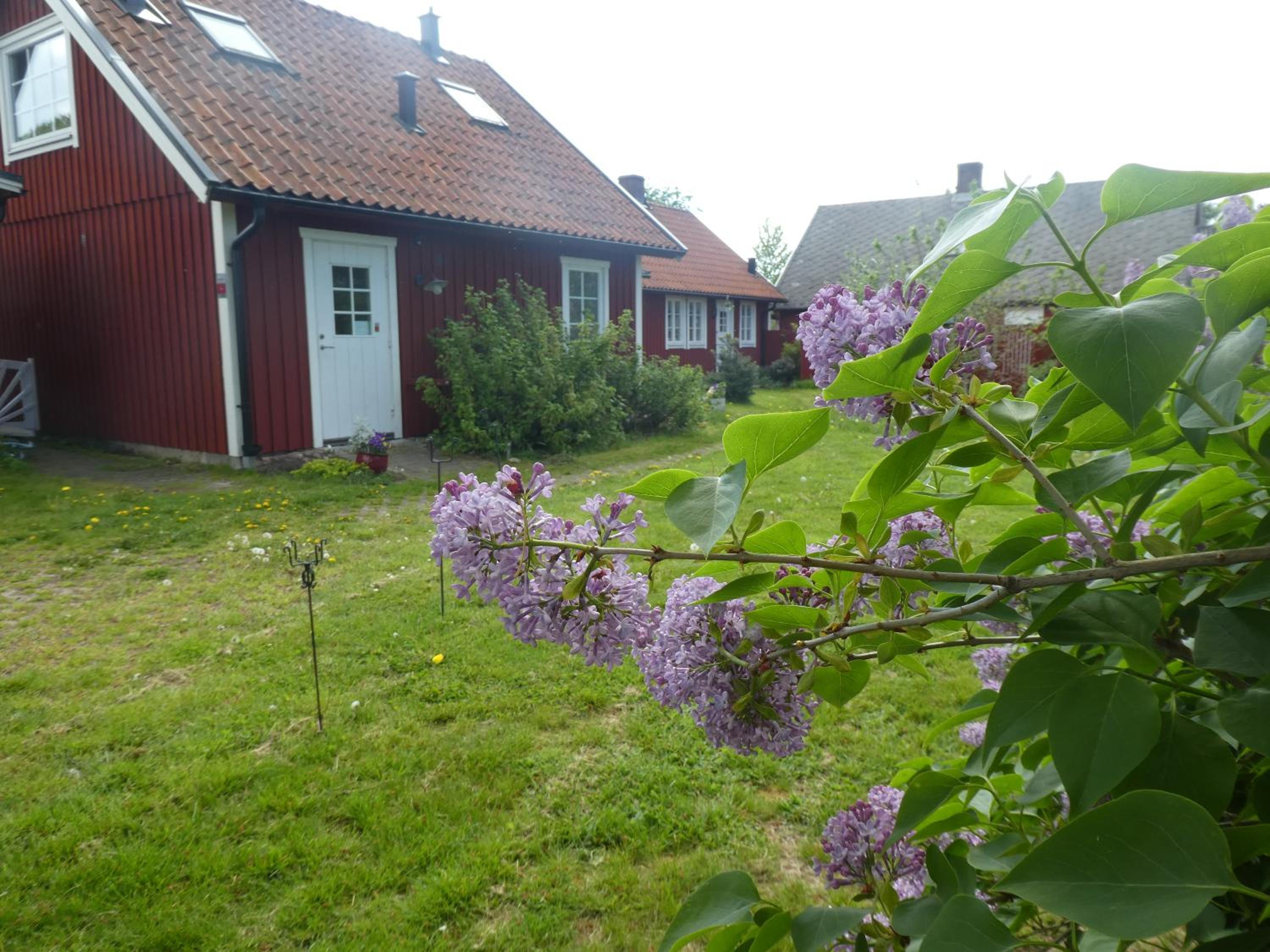 Huggehus view 2