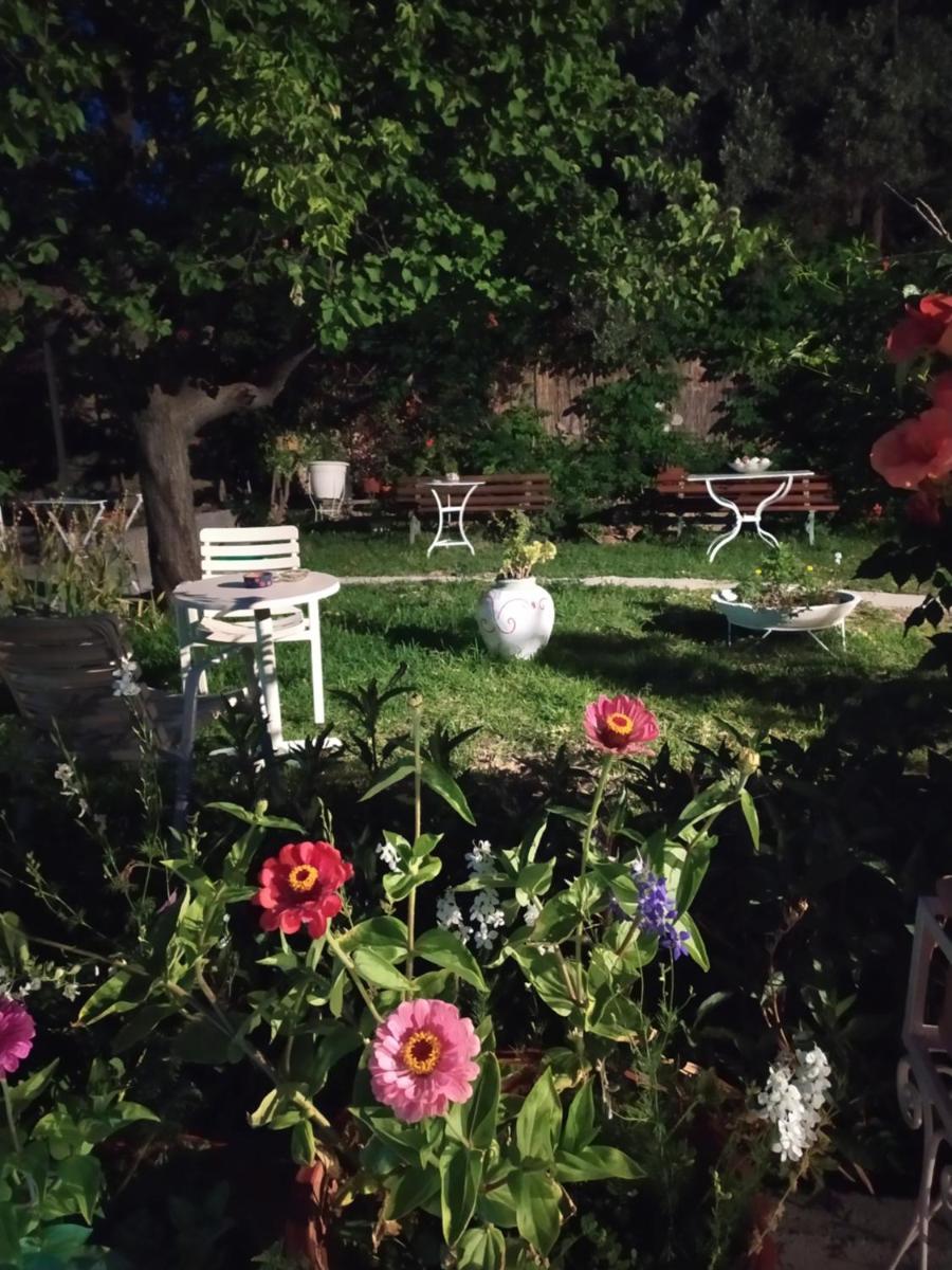 garden
