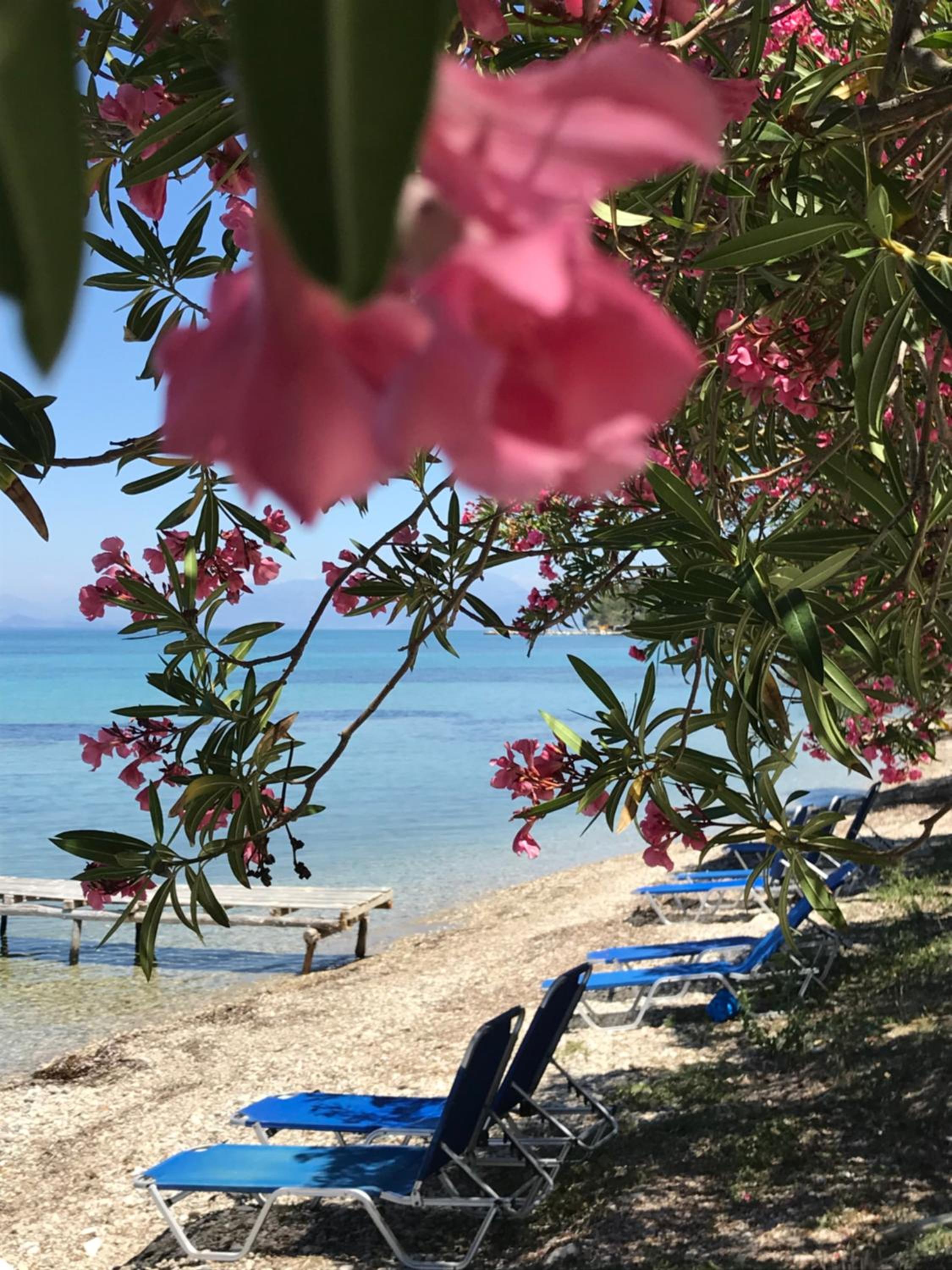 Akrogiali Rooms view 5