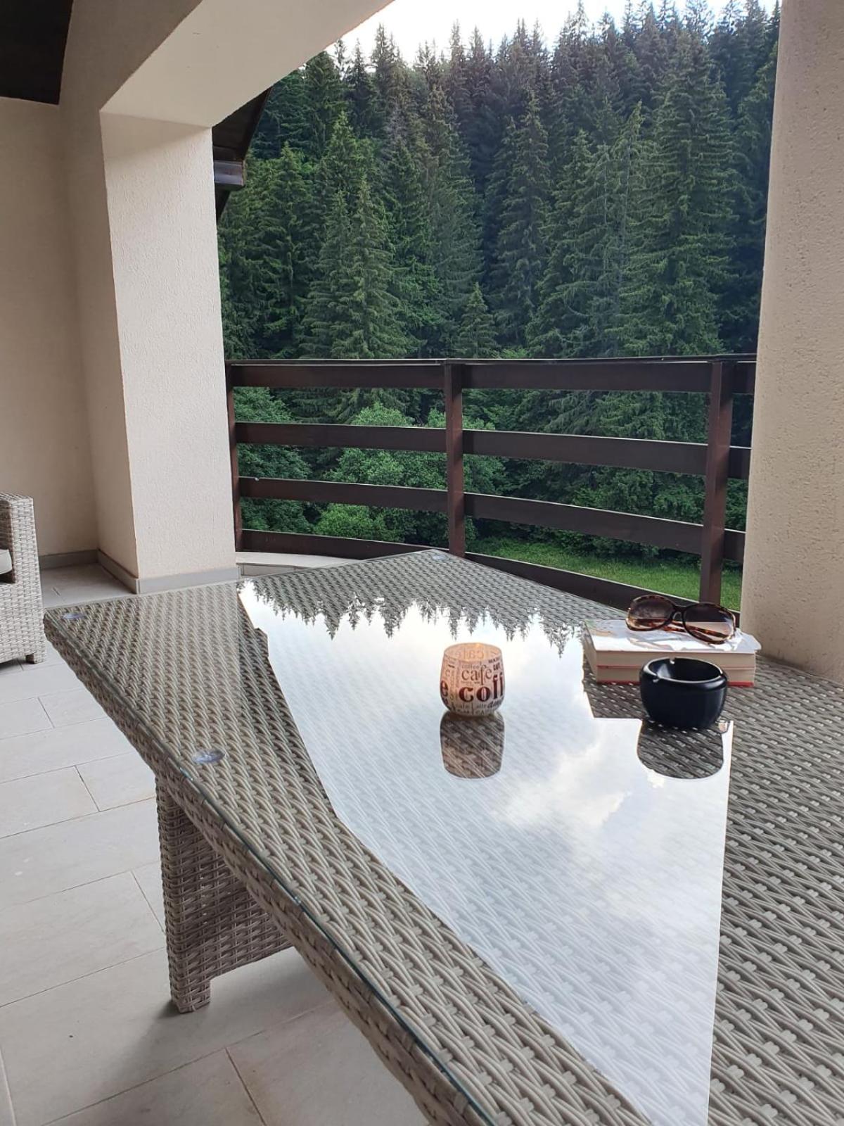 Apartament Ozon Poiana Brasov view 5