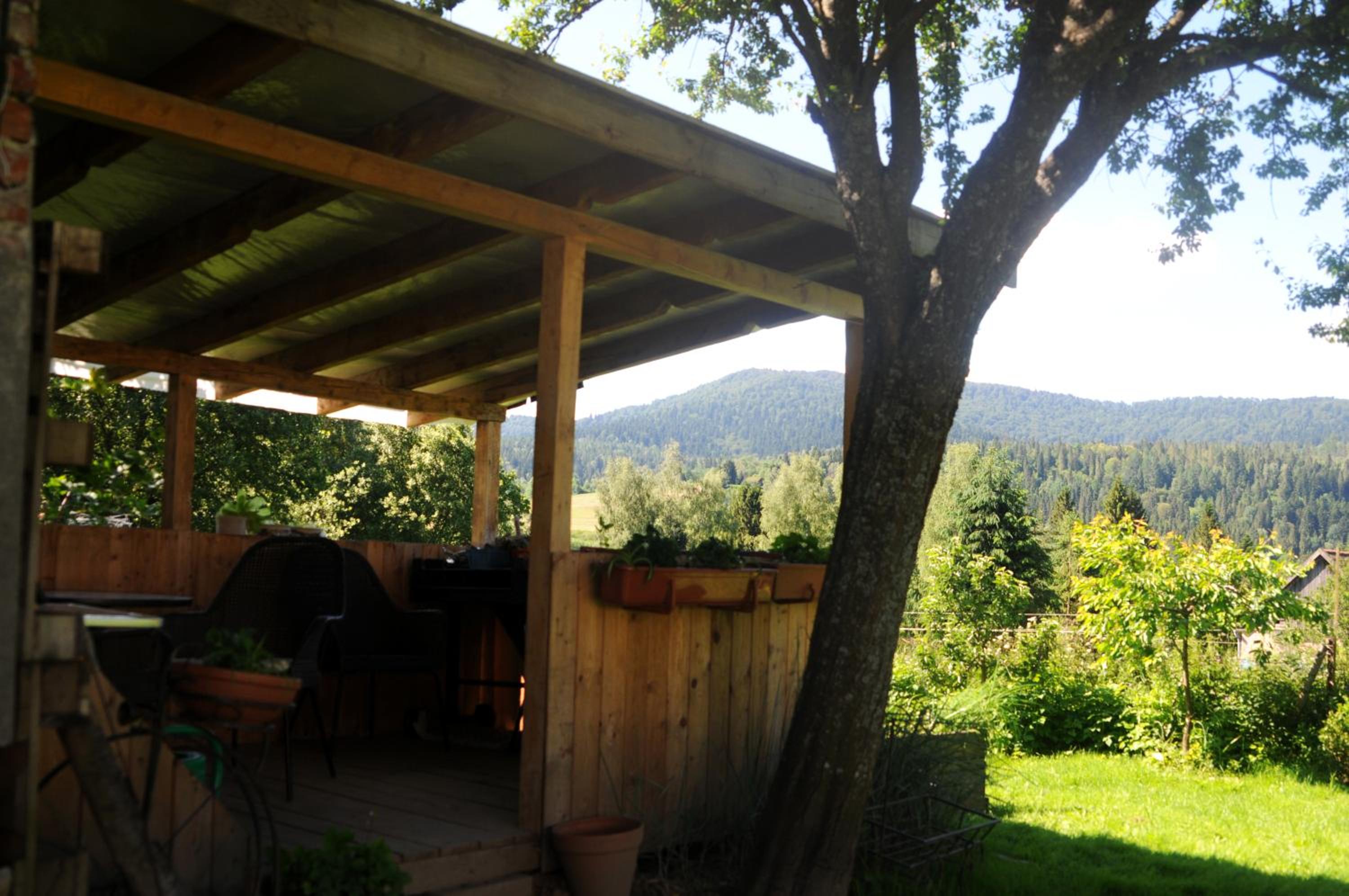 Photo 11