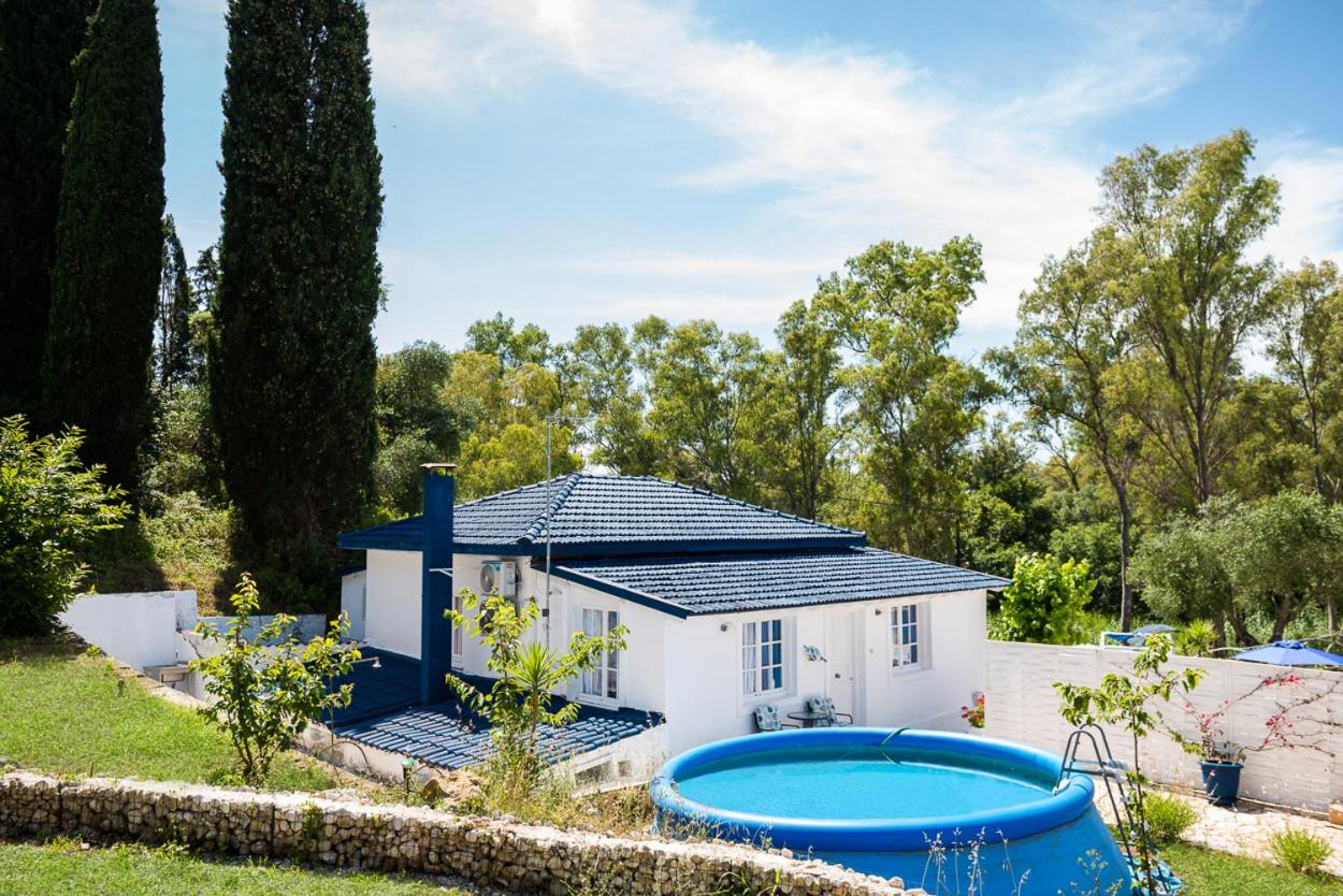 Villa Spiaggia Bianca - Beachfront House - Recently renovated