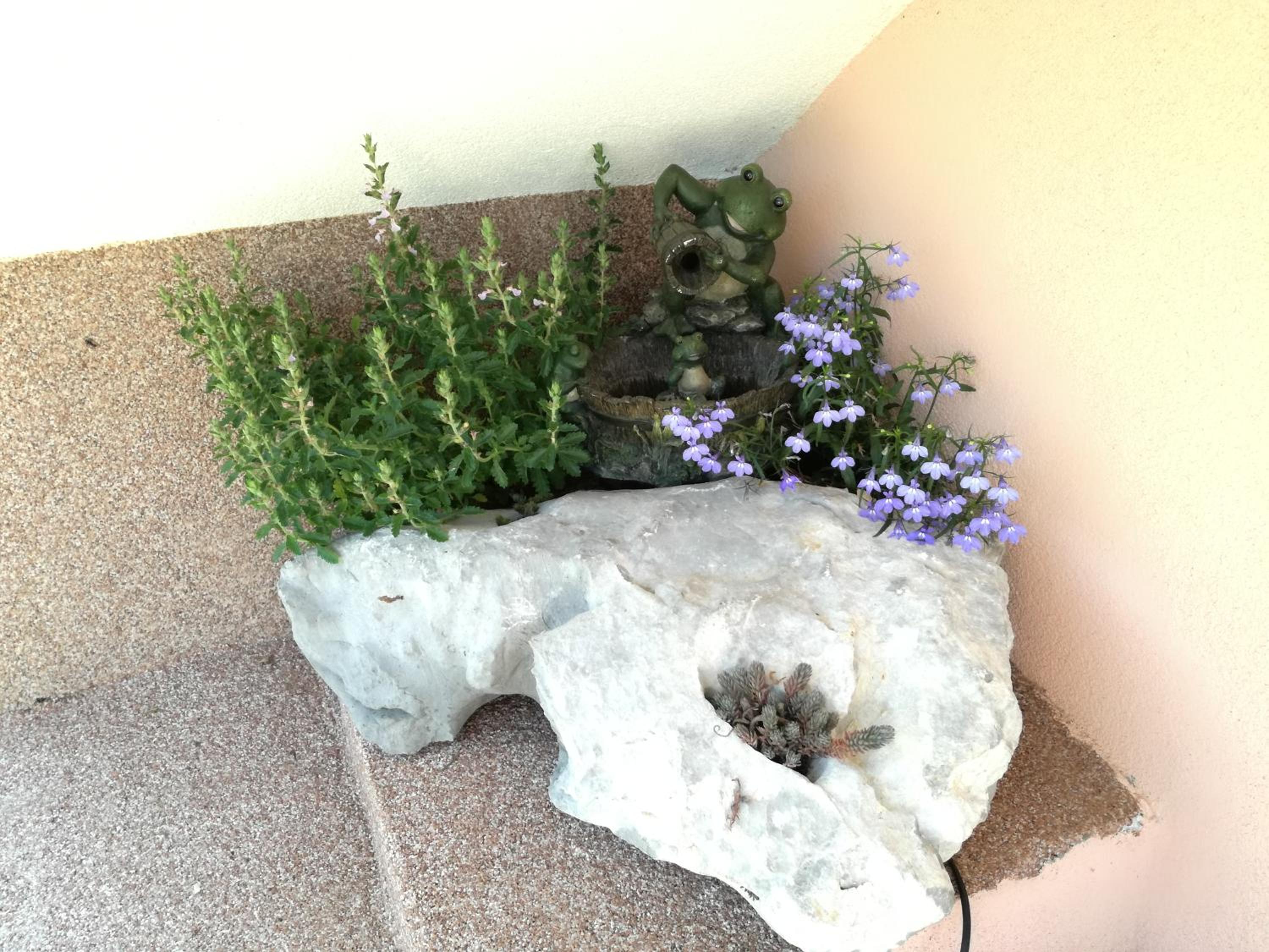 Photo 36