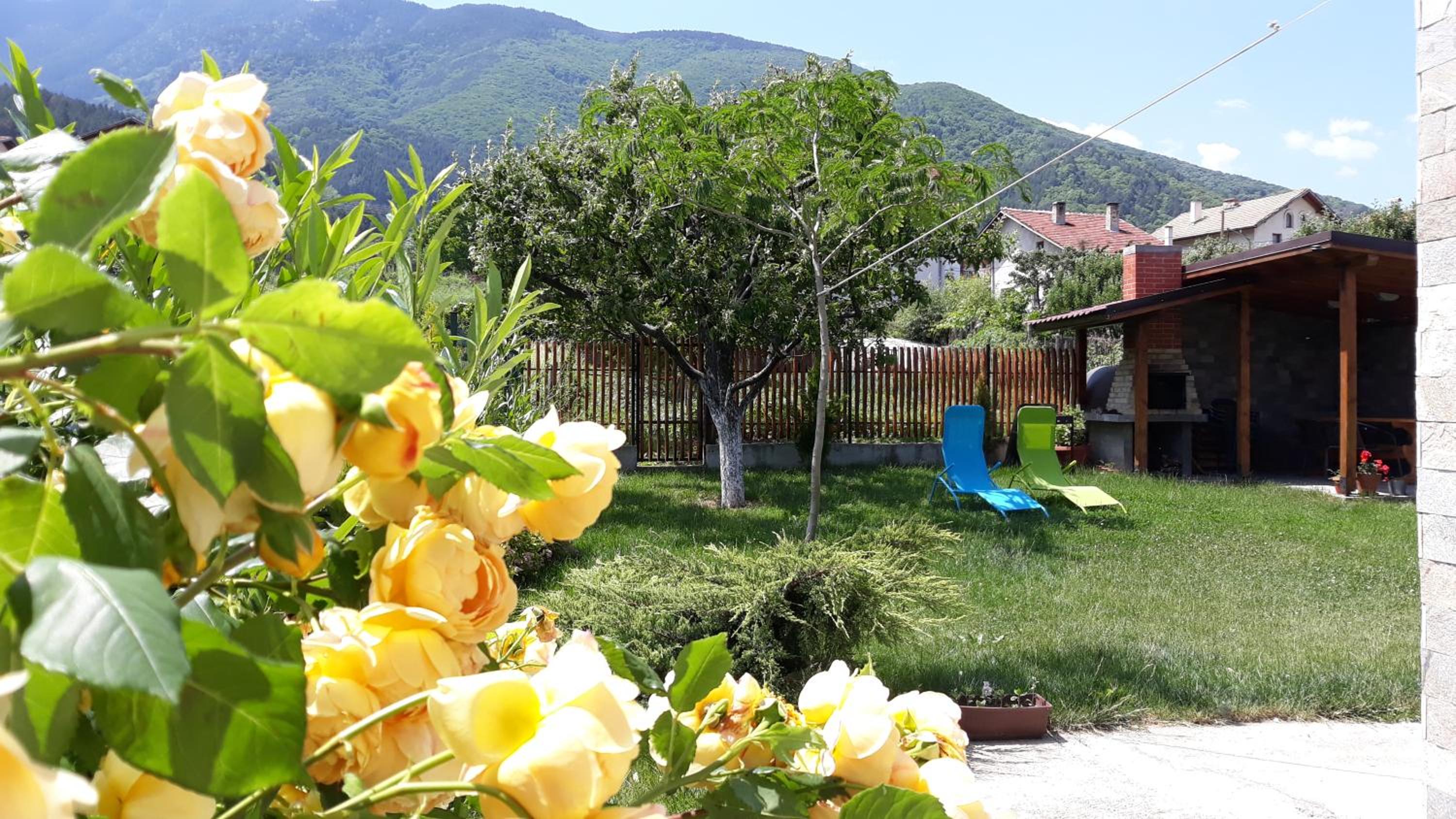 Guest House Vessyta