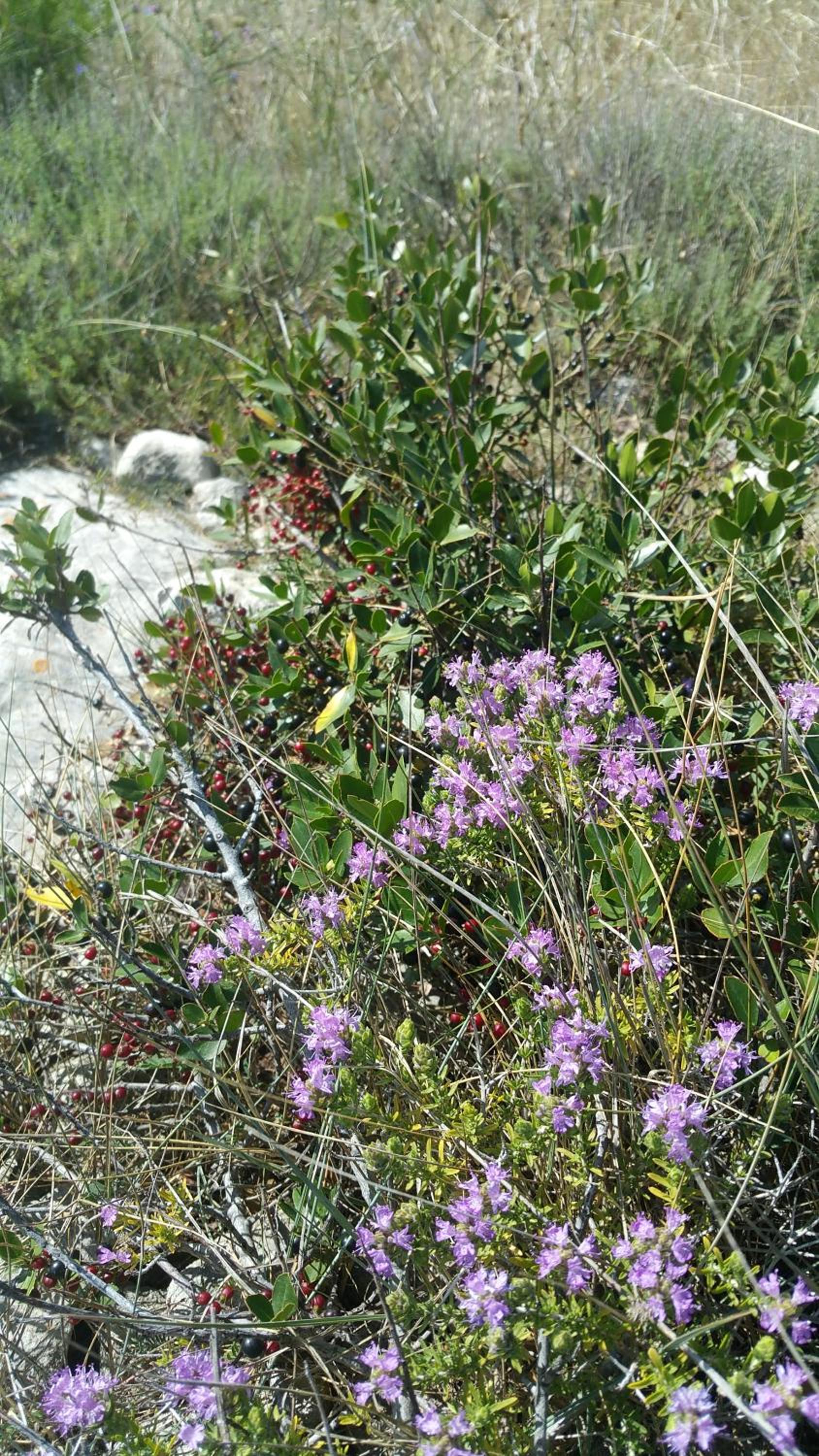 La Dimora dei Pescatori photo 4