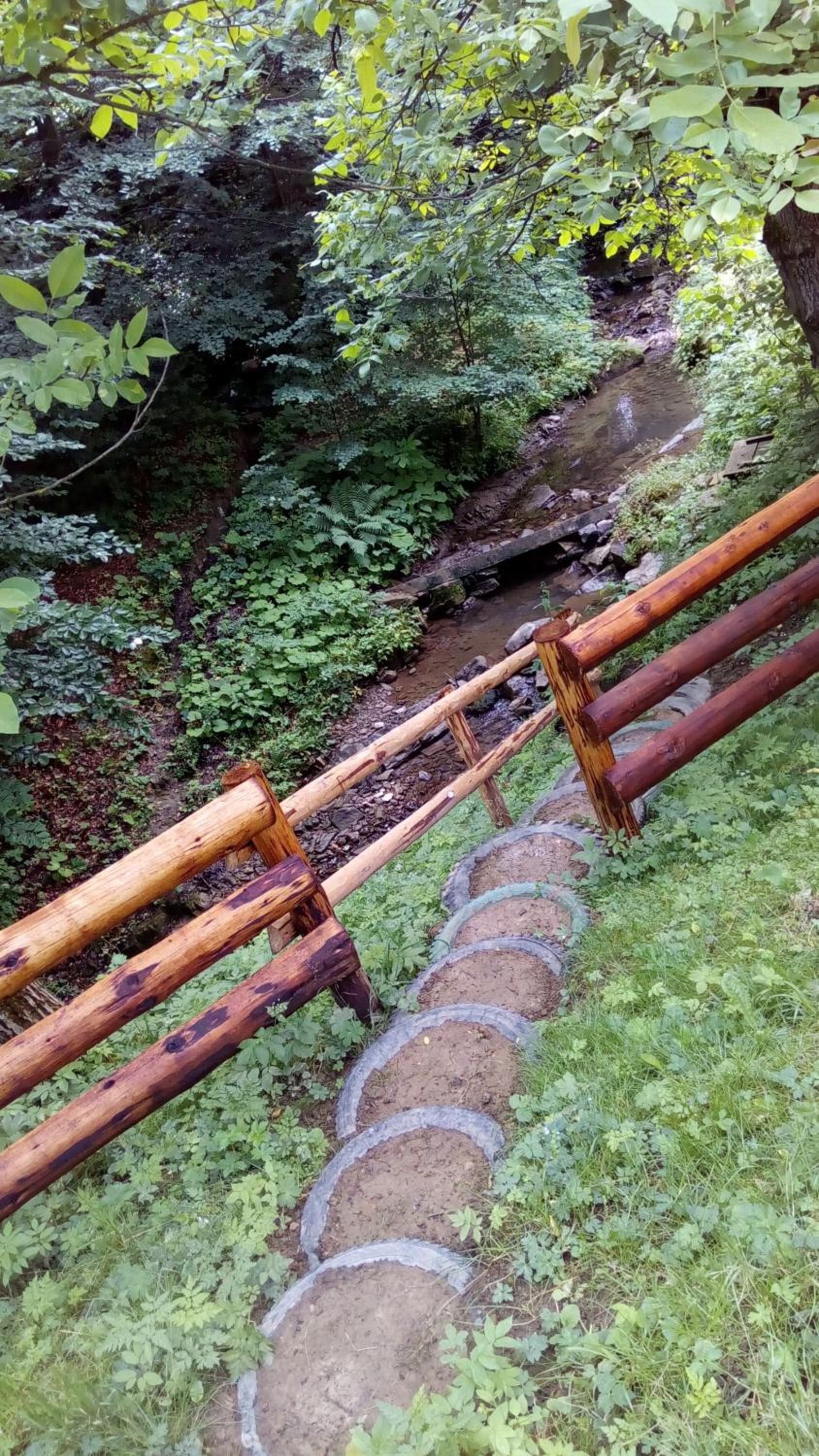 Photo 10