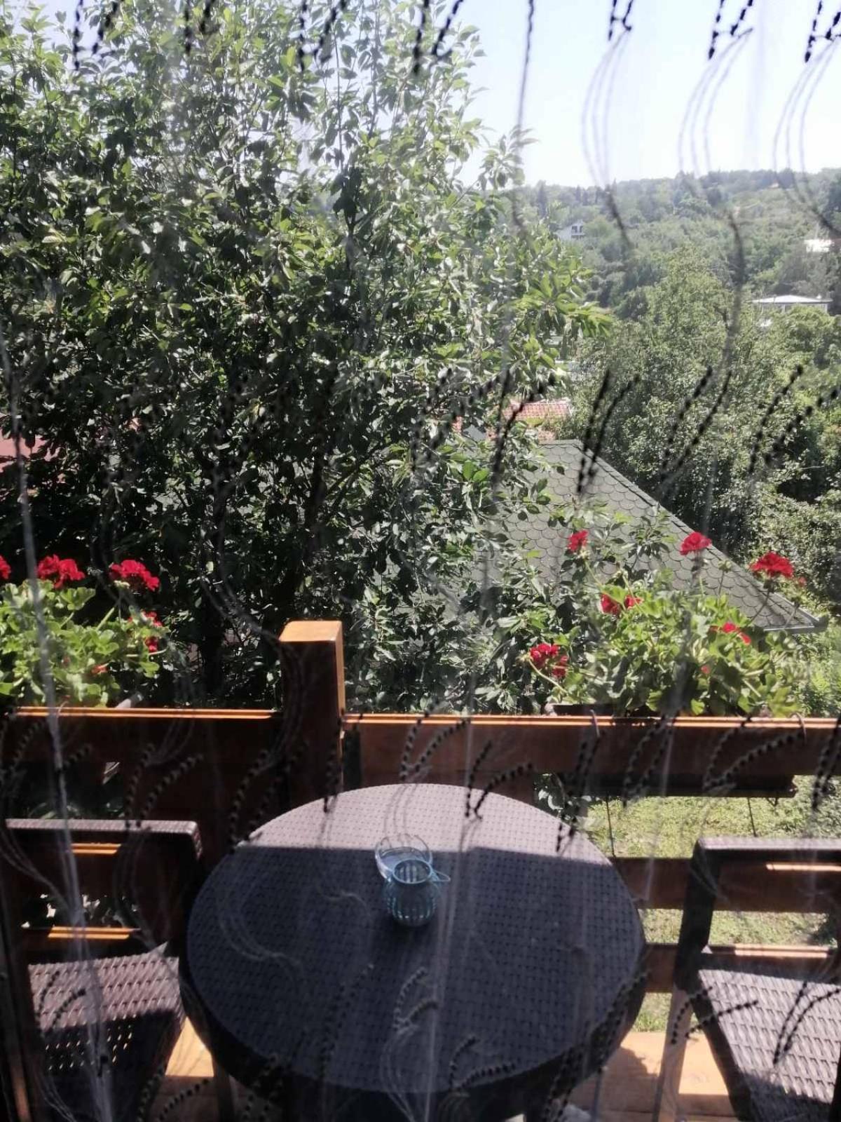 Brvnara Fruska Koliba