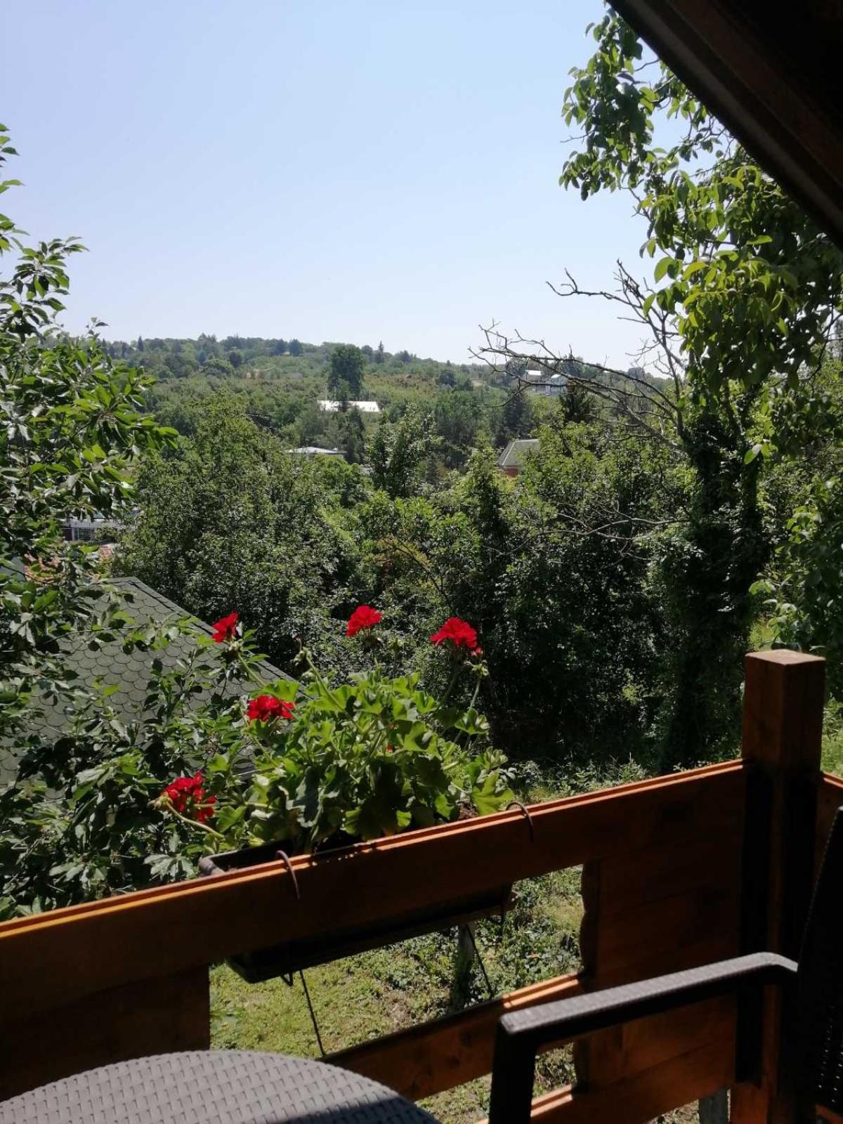 Brvnara Fruska Koliba