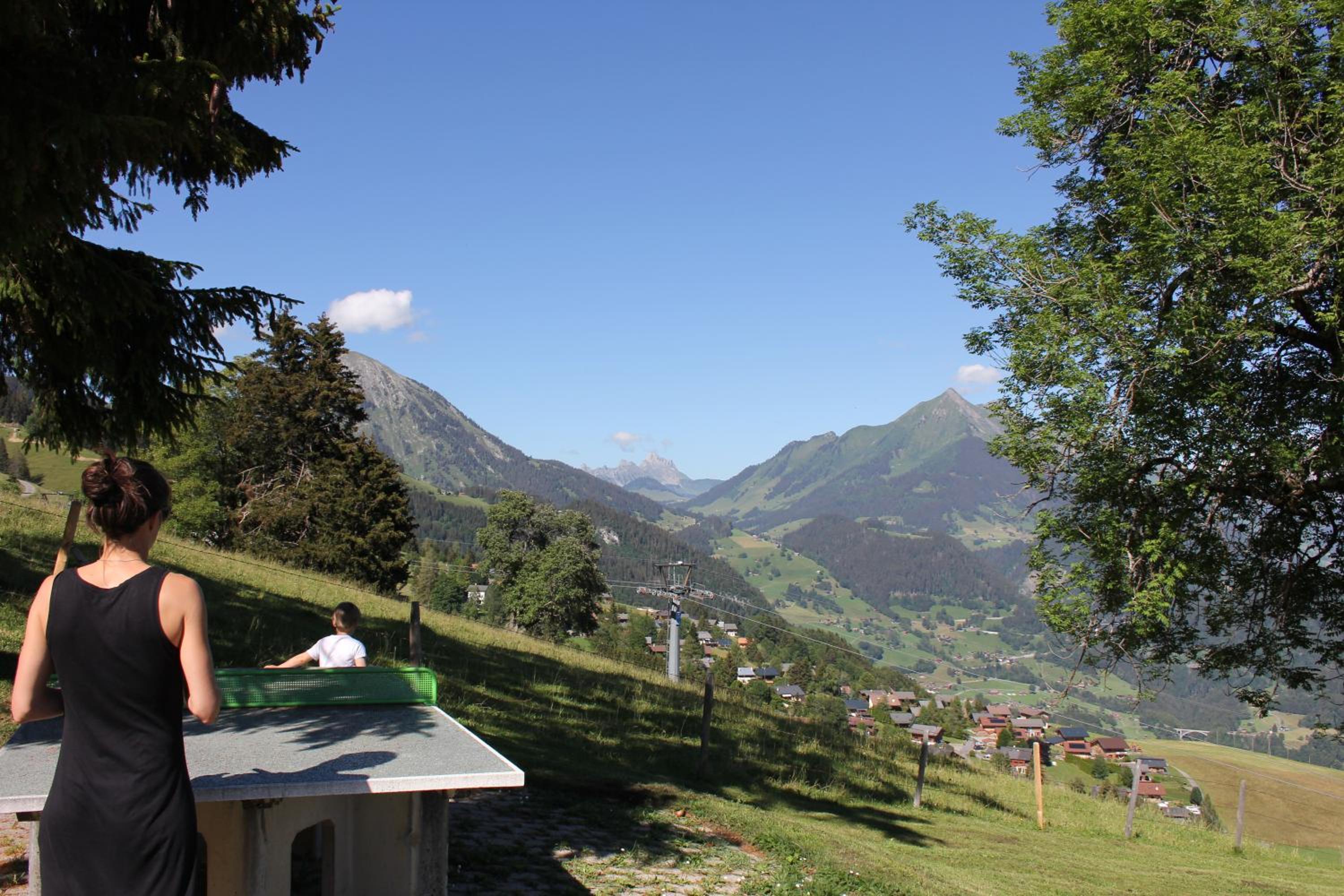Leysin Lodge