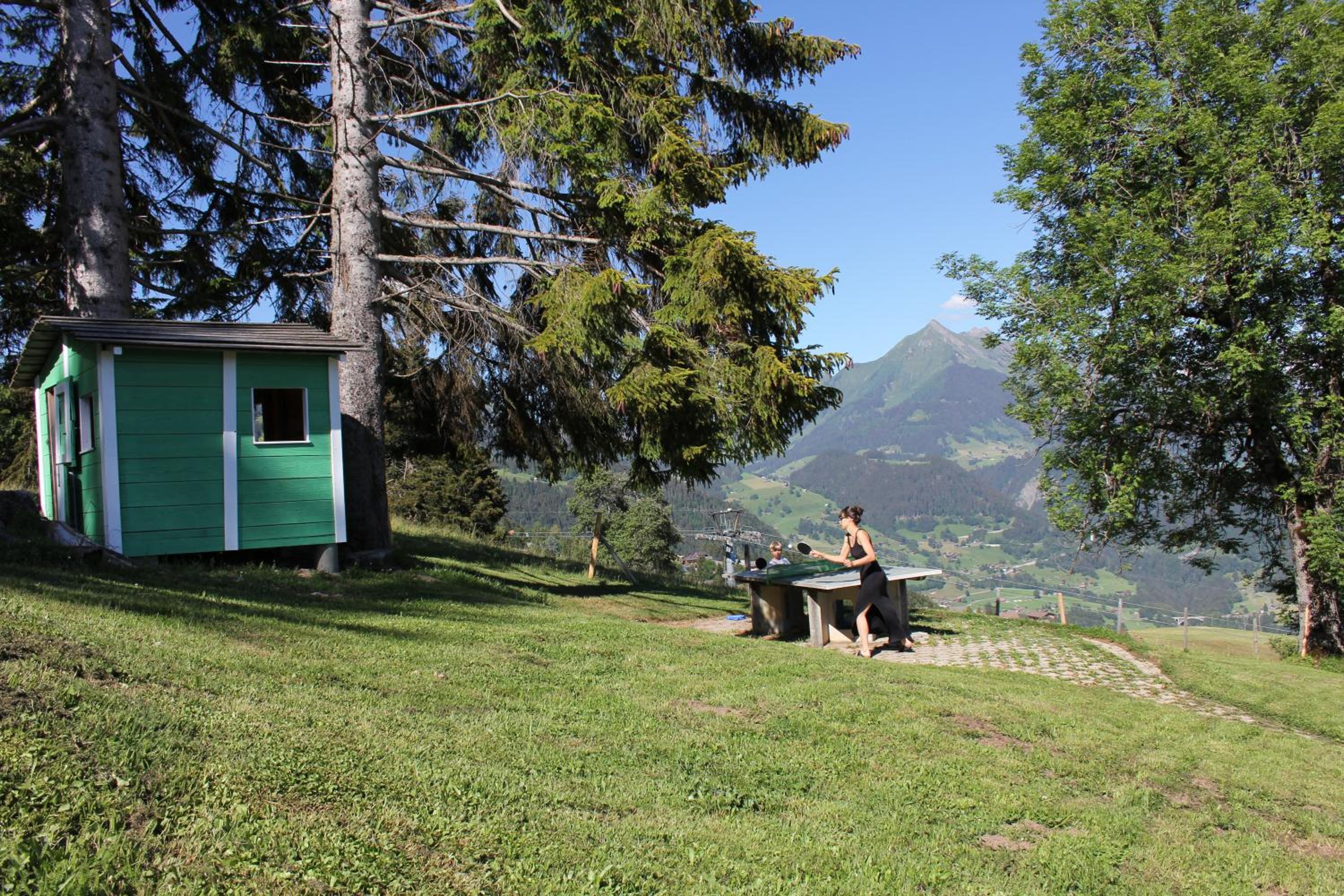 Leysin Lodge
