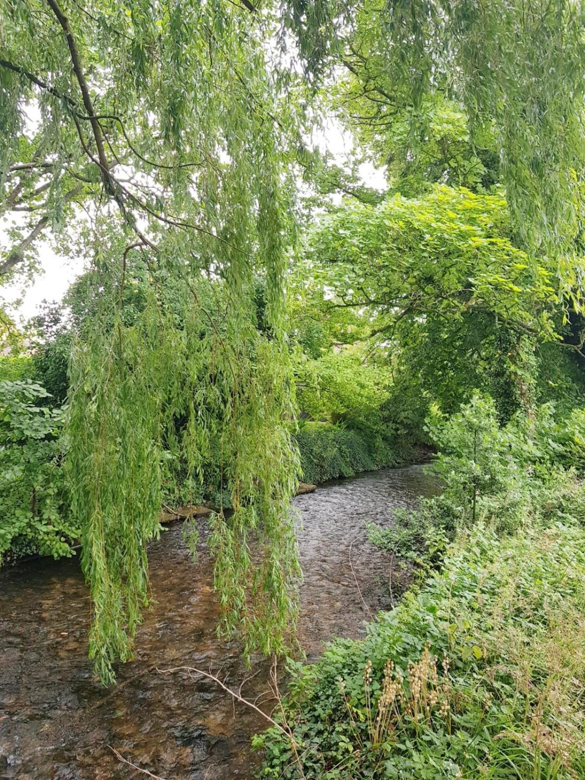 Photo 17
