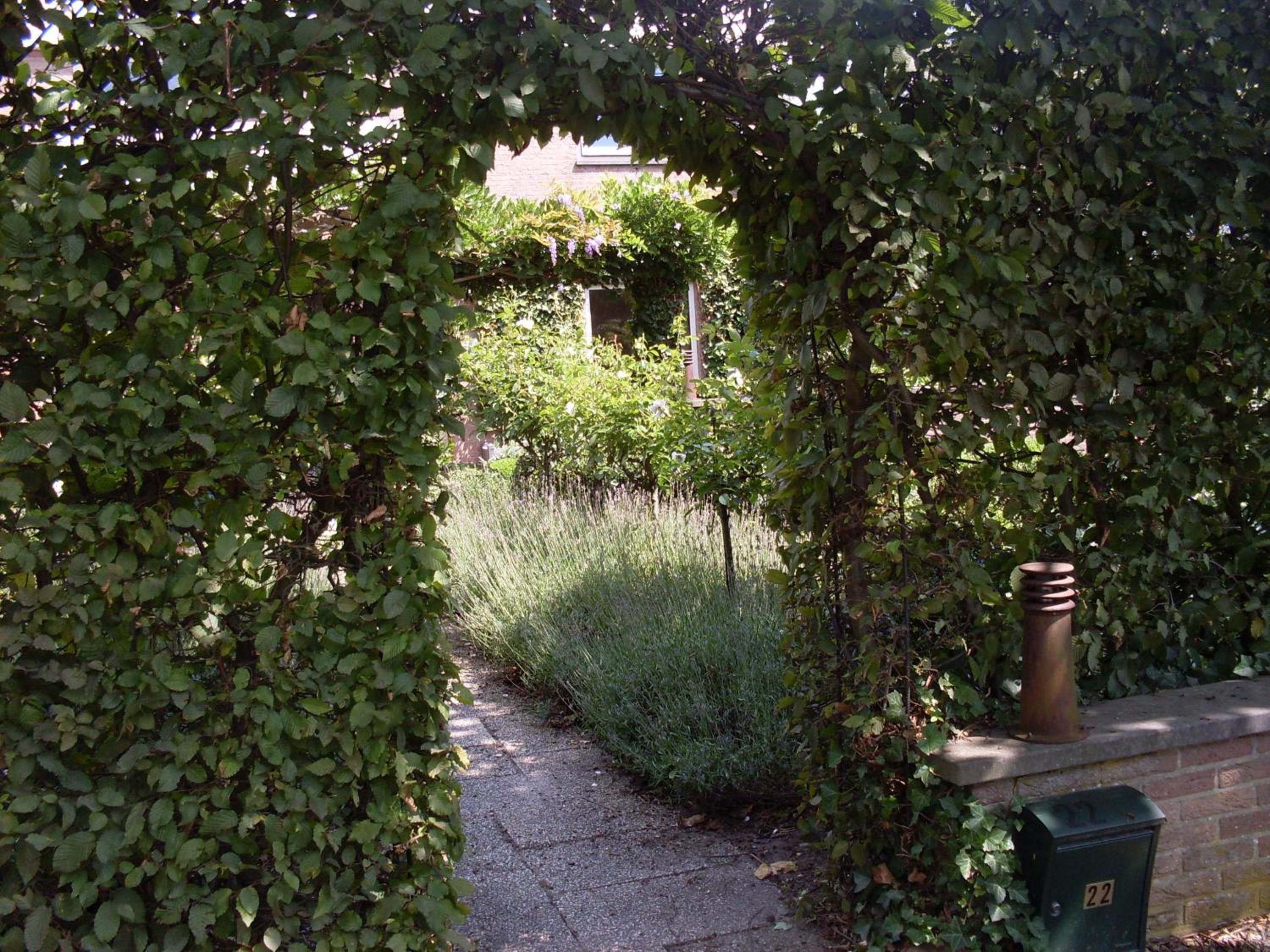 Photo 19