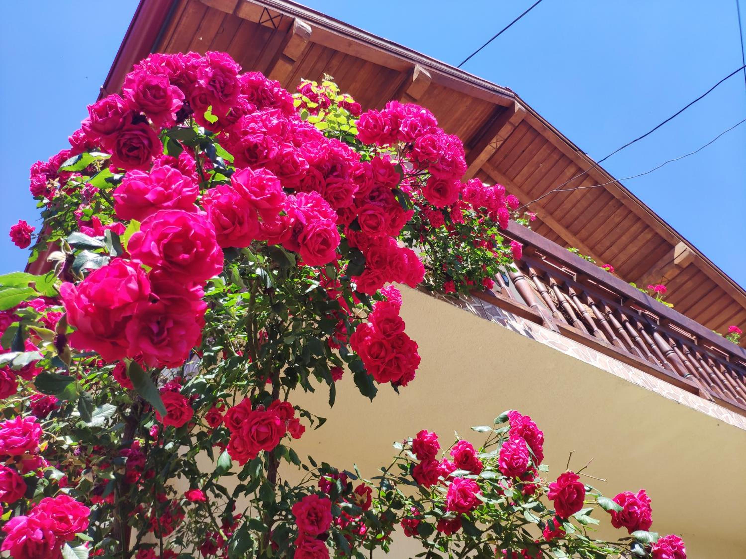 Casa Piatra Craiului view 3