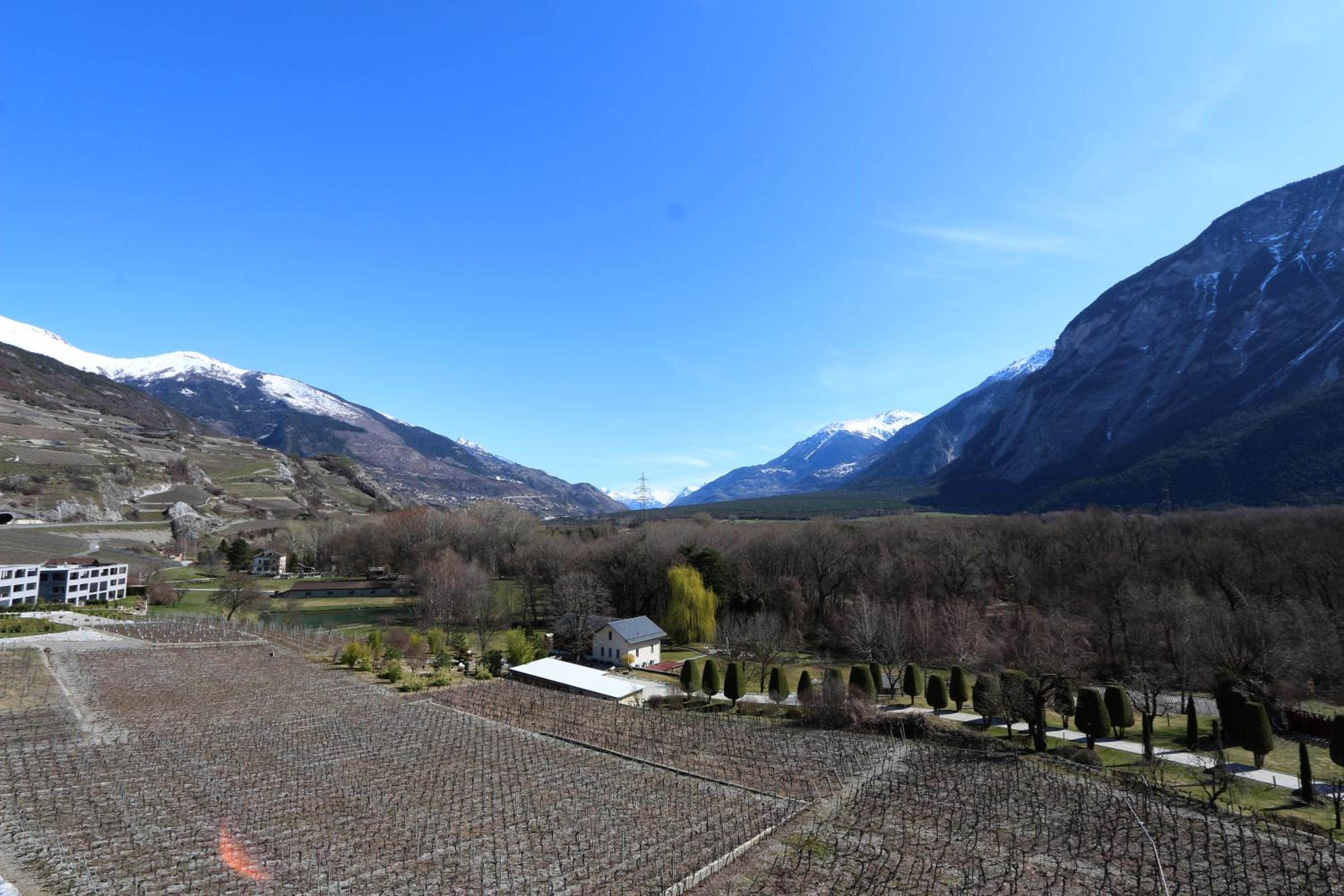 BnB Vino Veritas