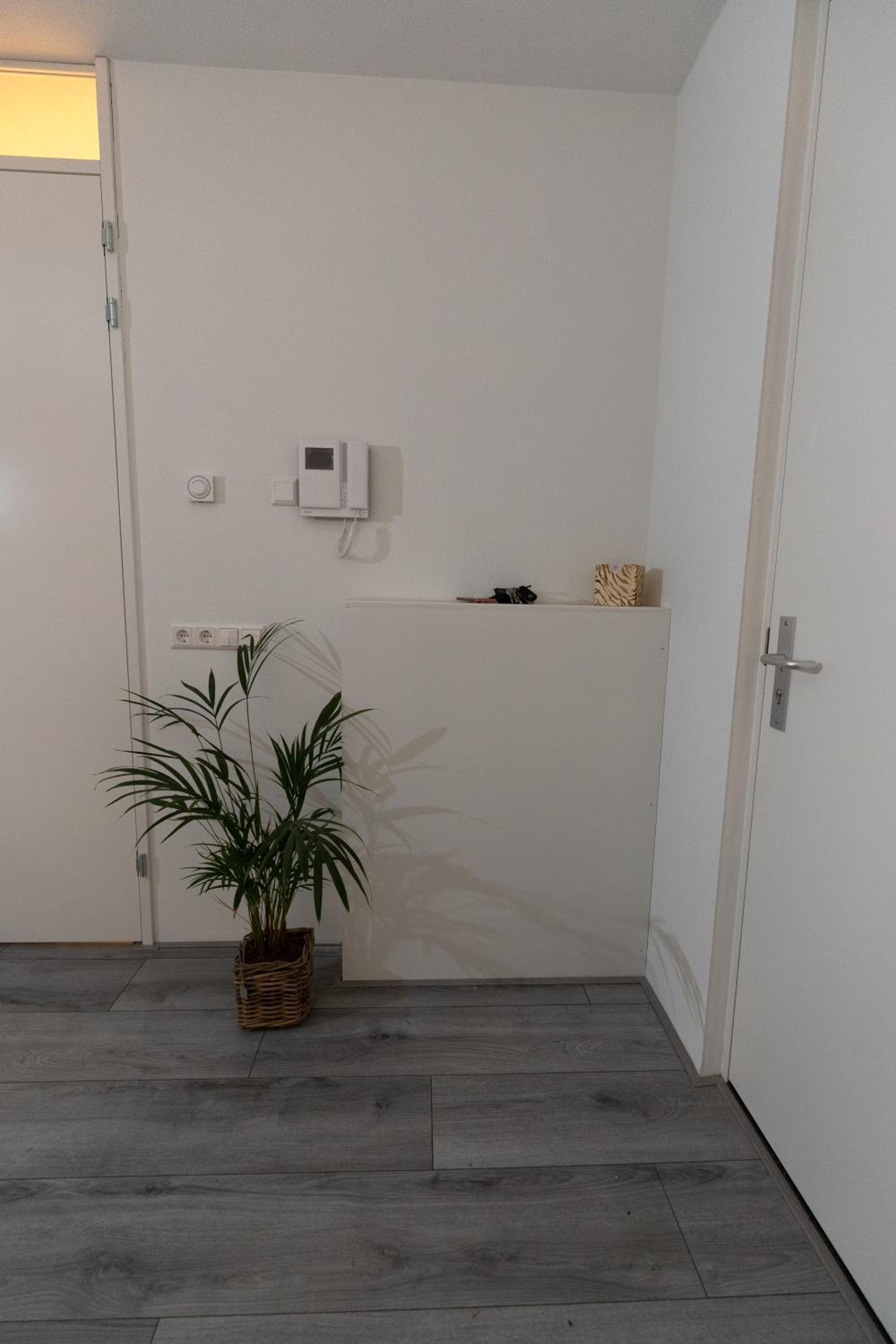 Greenstay