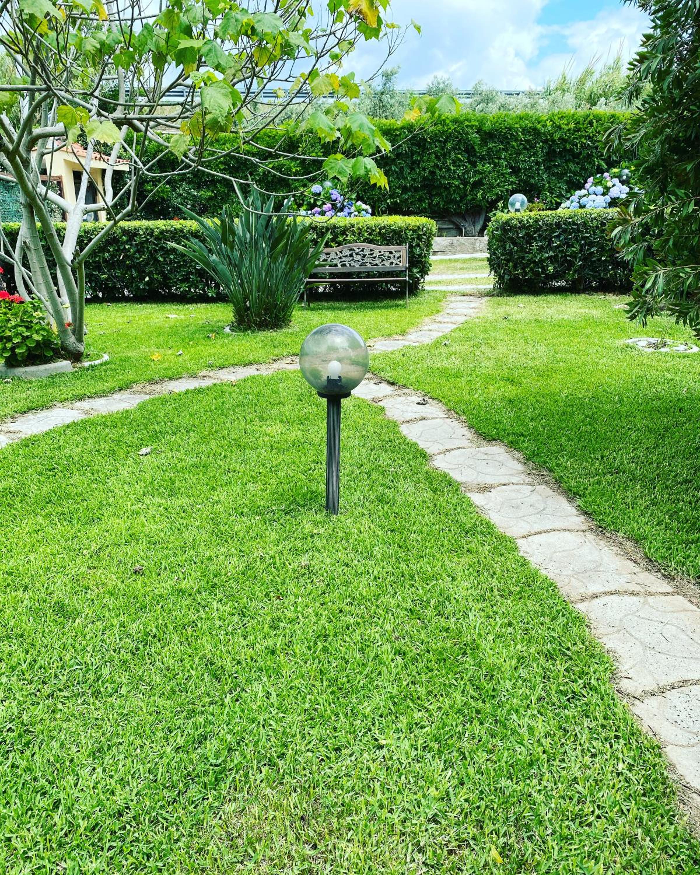 Photo 7