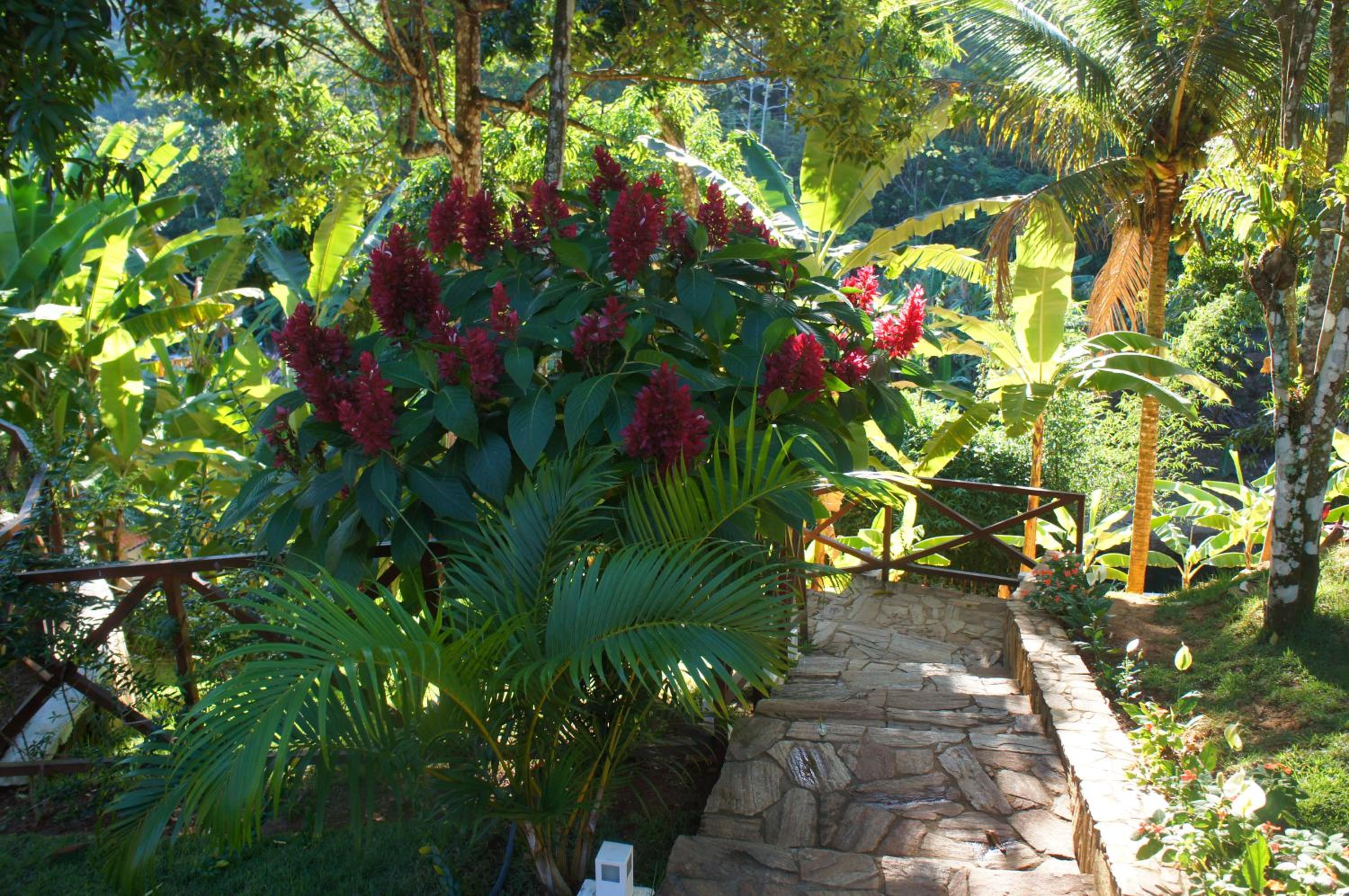 HOTEL CANTINHO DAS FLORES